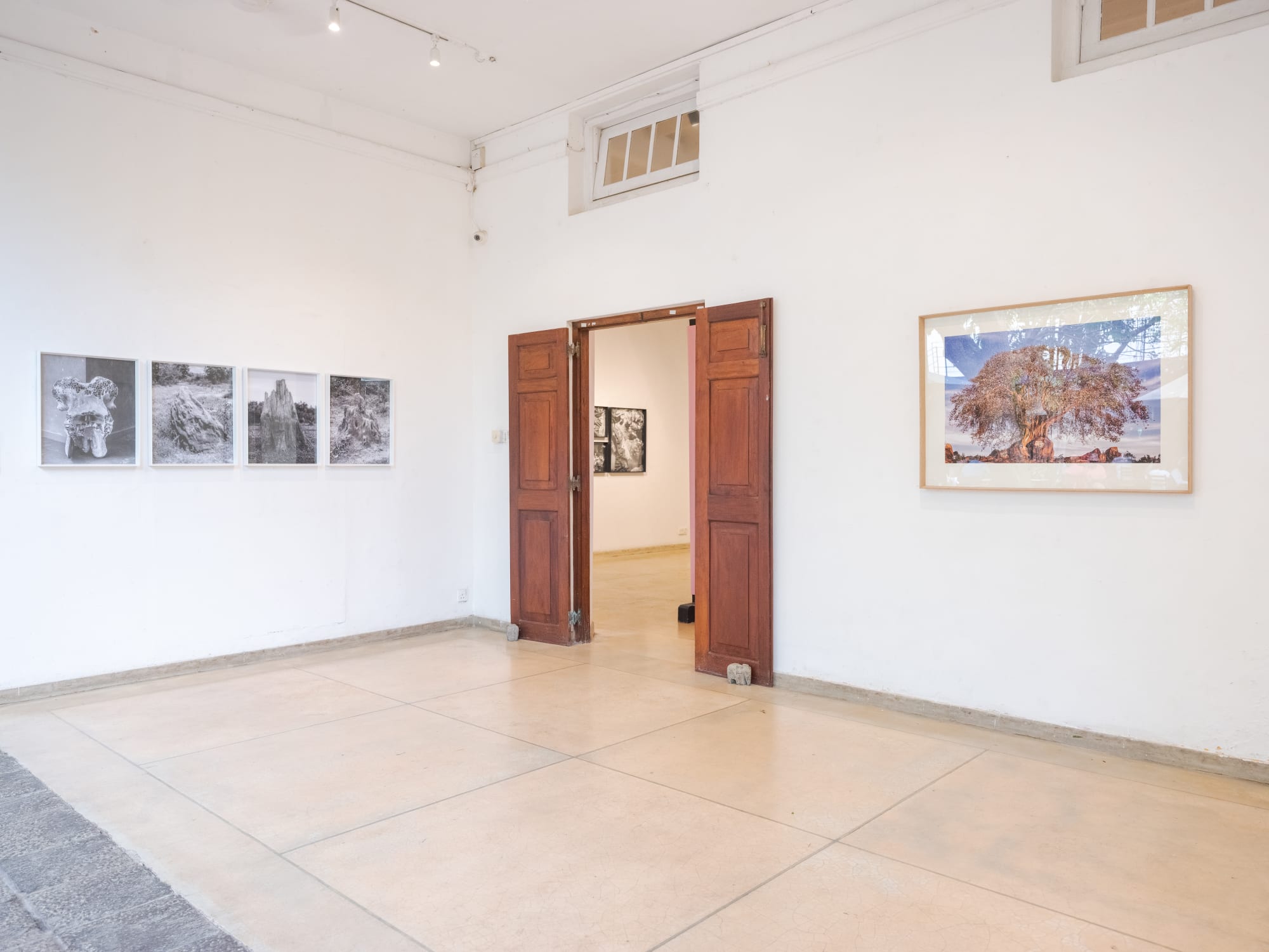 Scrubland: East Coast Essays