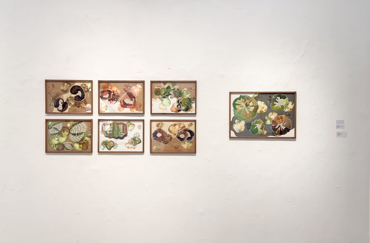 Many roads through paradise