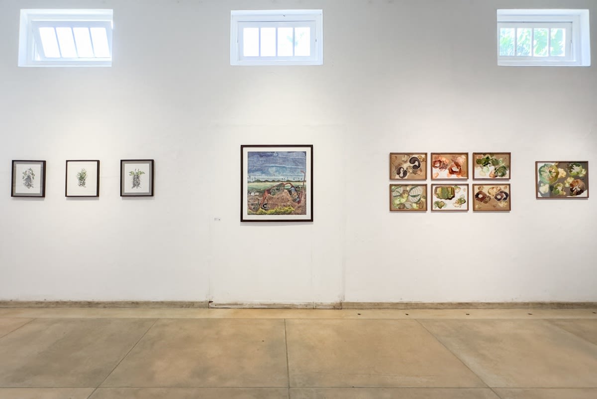 Many roads through paradise