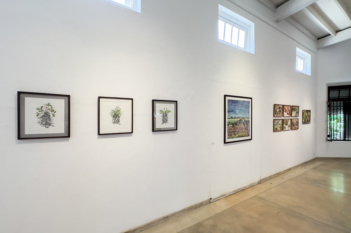 Many roads through paradise