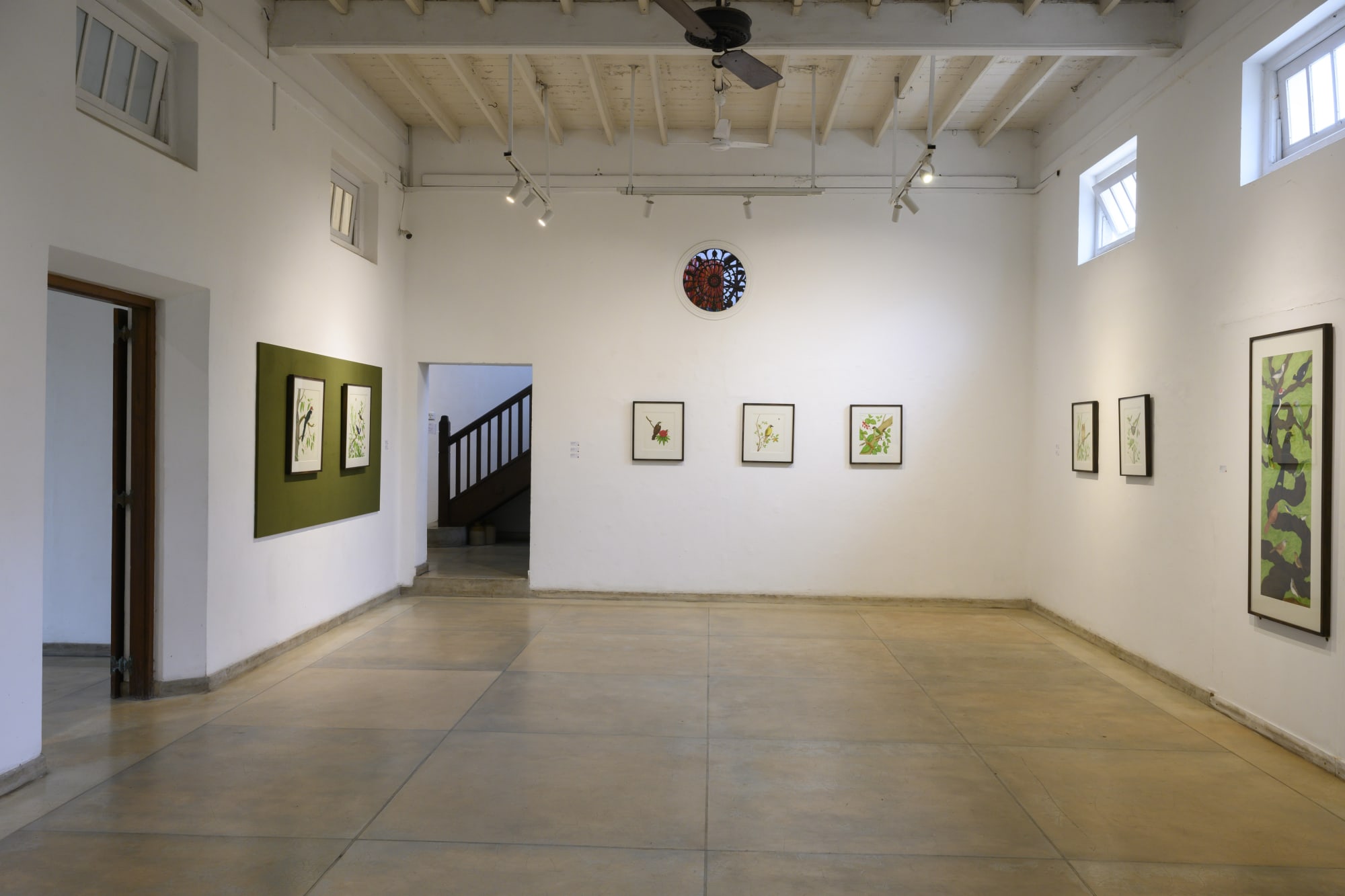 Theatre of Serendib Birds