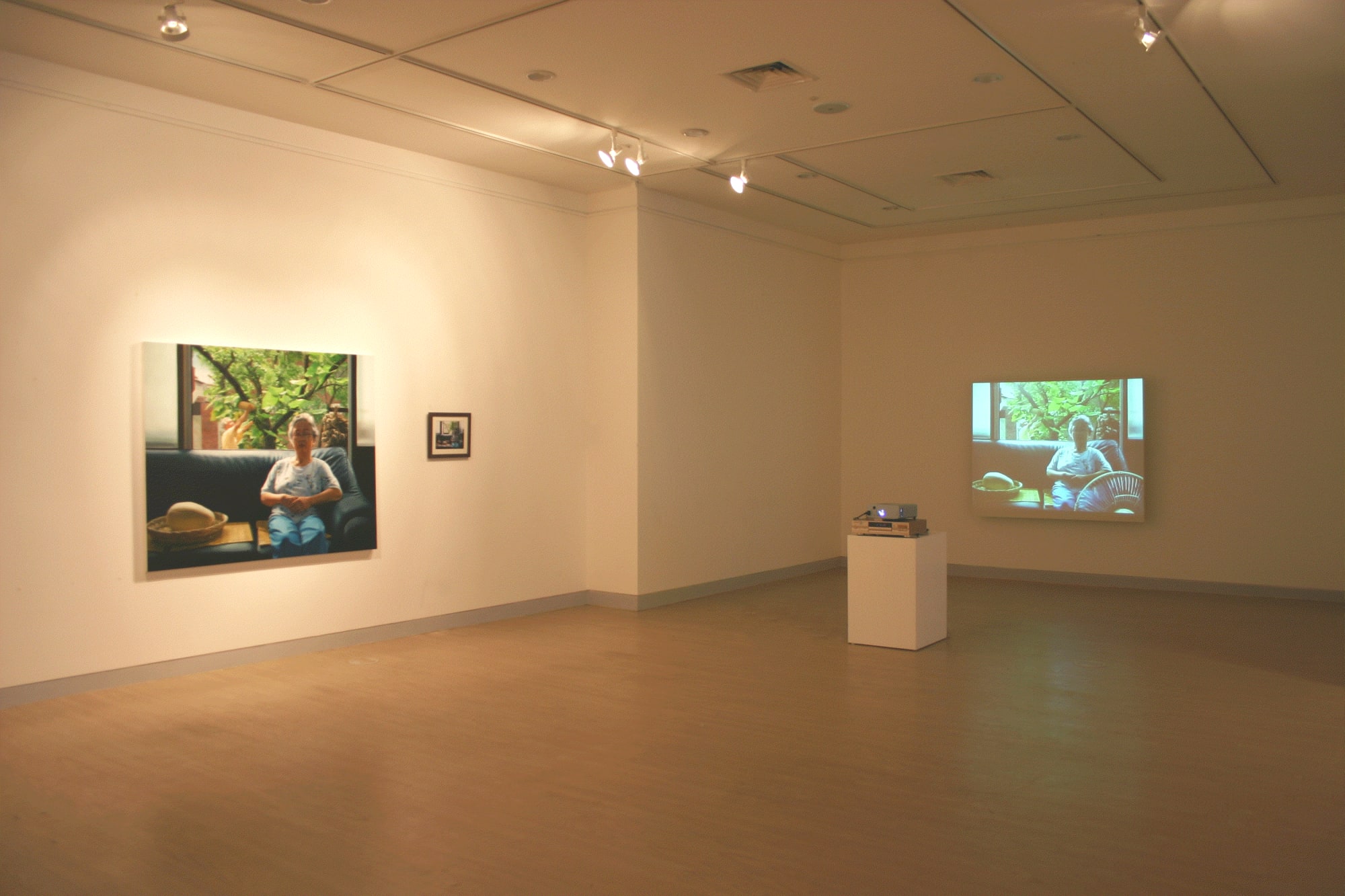 Painting With Annotation: The Void of Representation