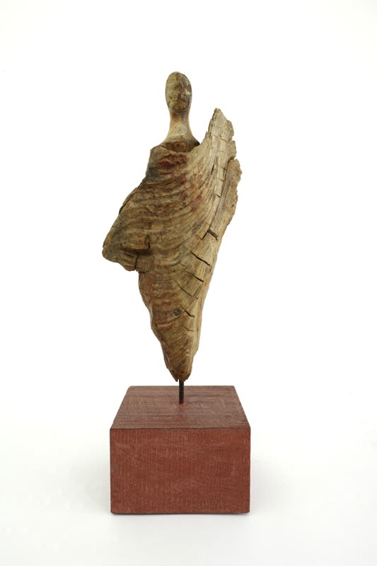 Roger Hardy, Sentinel