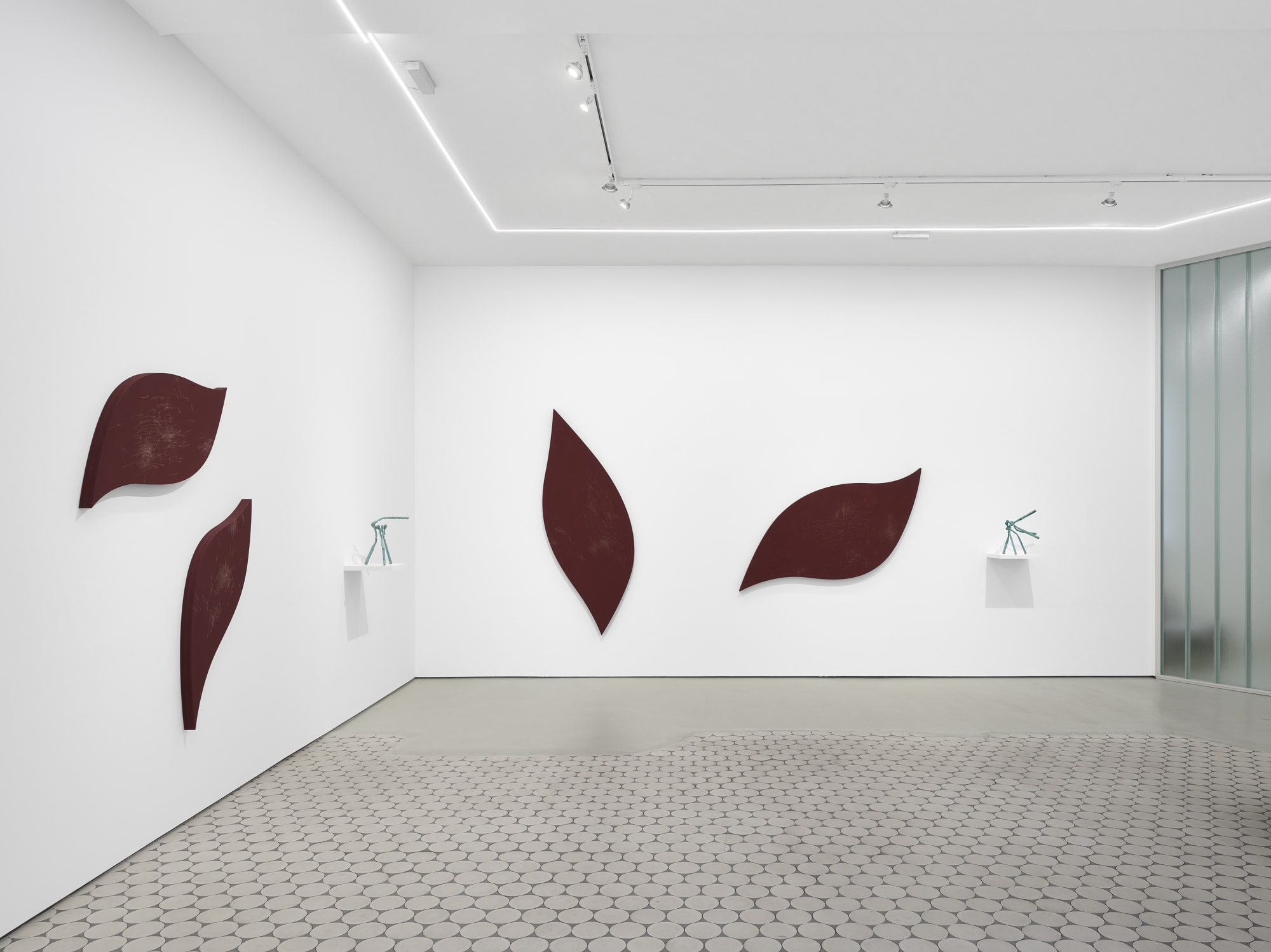 Thomas Wachholz – Tempo Primo