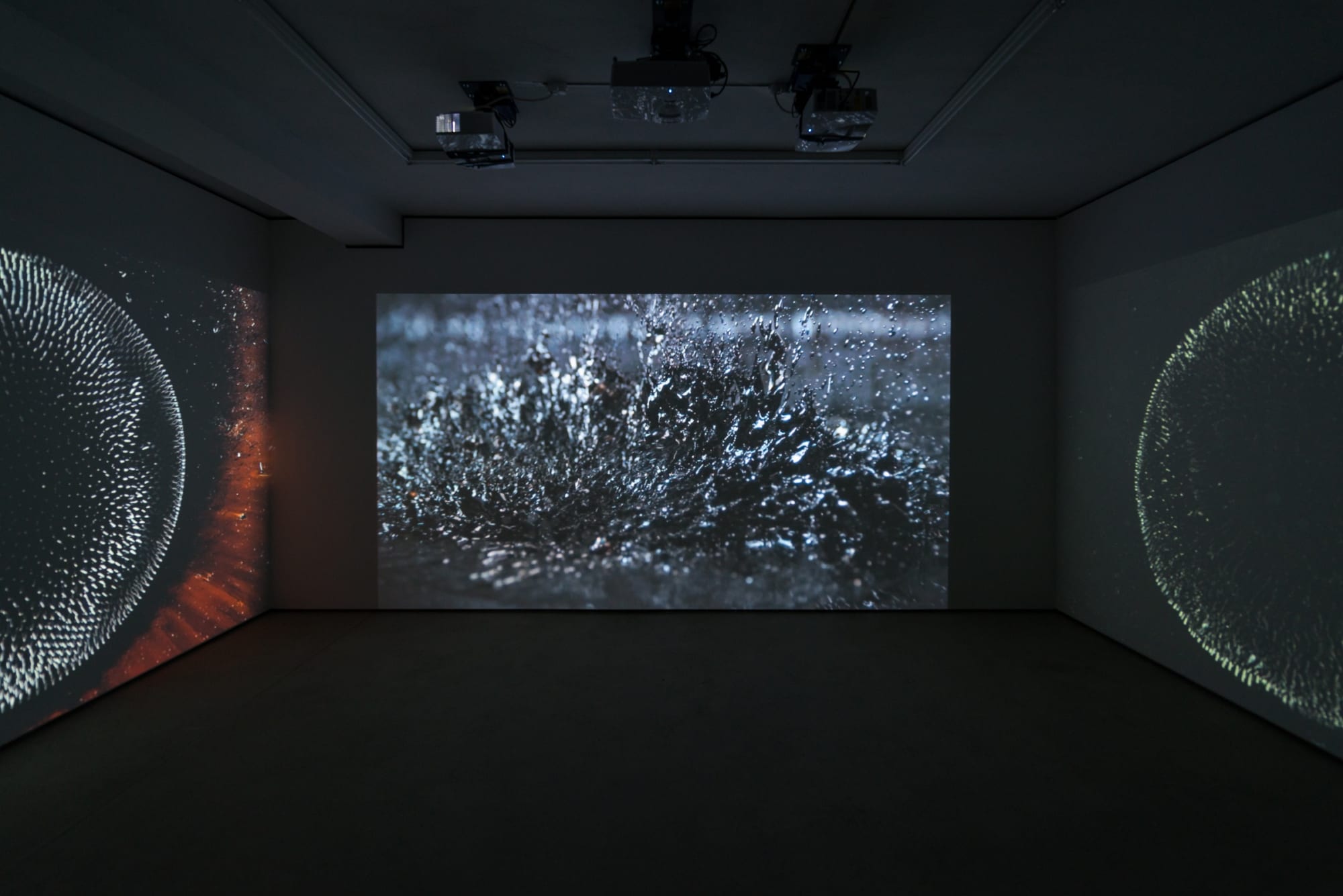 Hicham Berrada | Les Fleurs