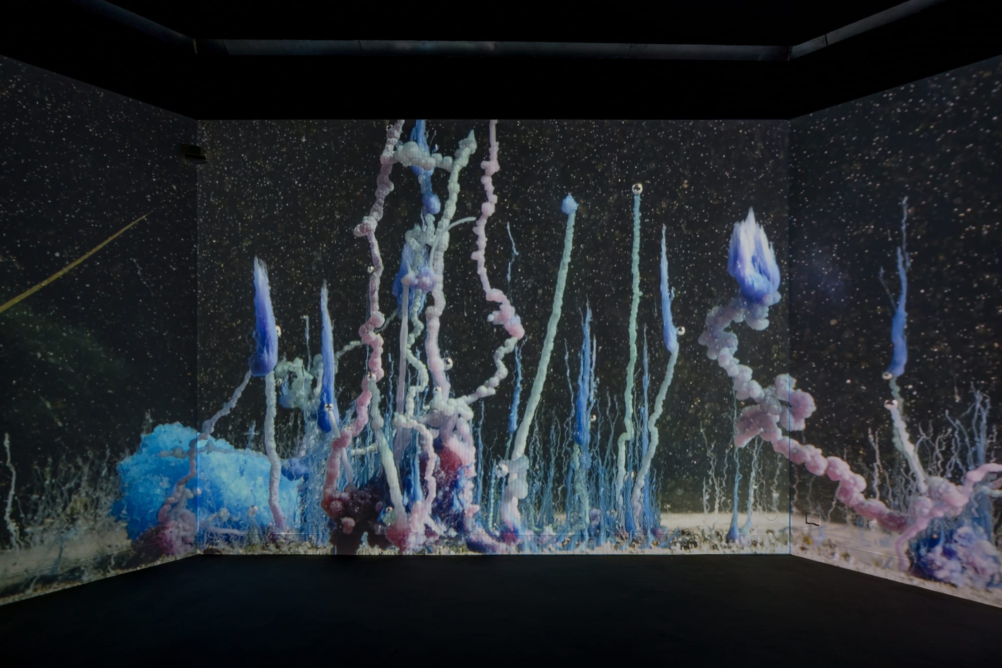 Hicham Berrada | Aléas