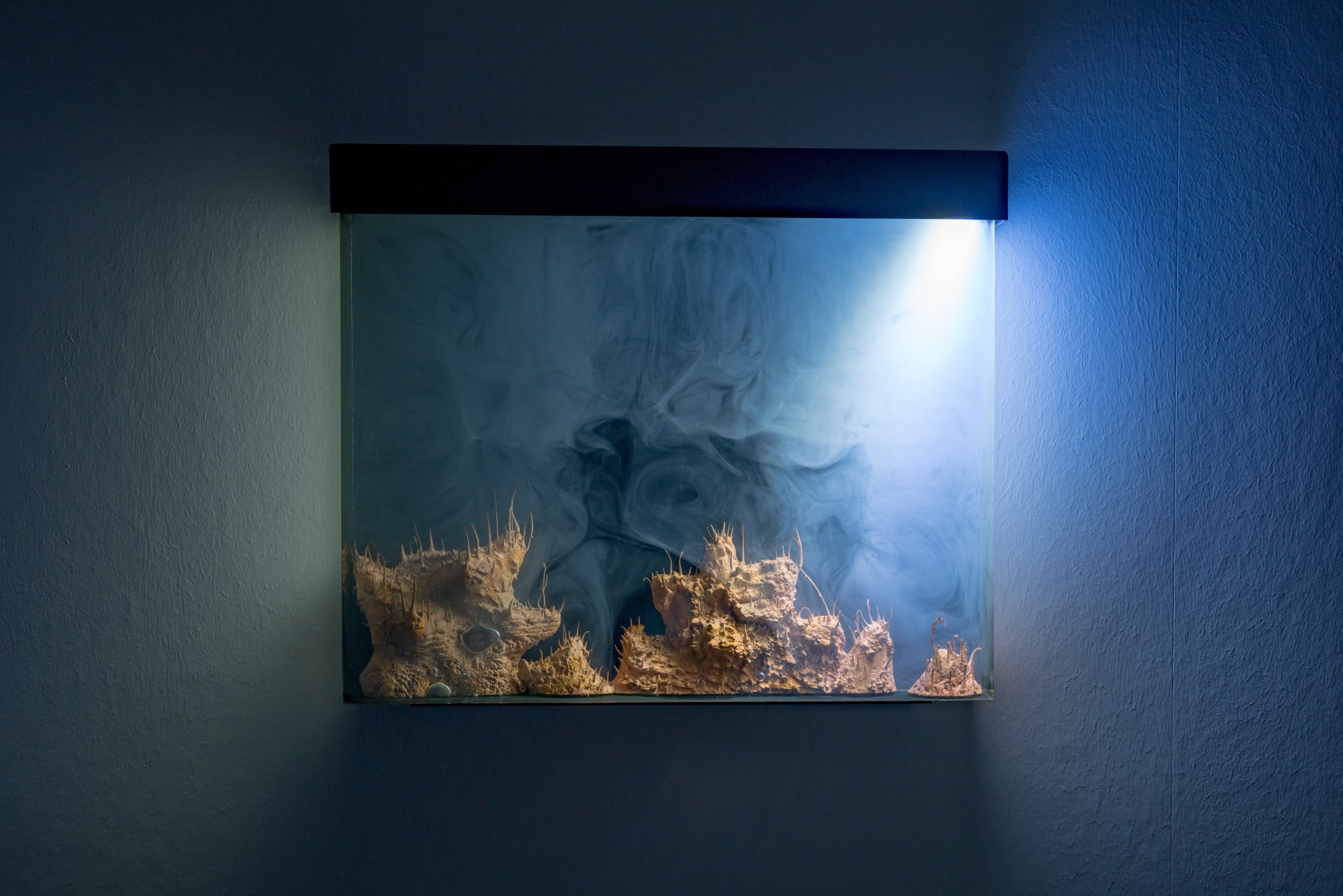 Hicham Berrada | Aléas