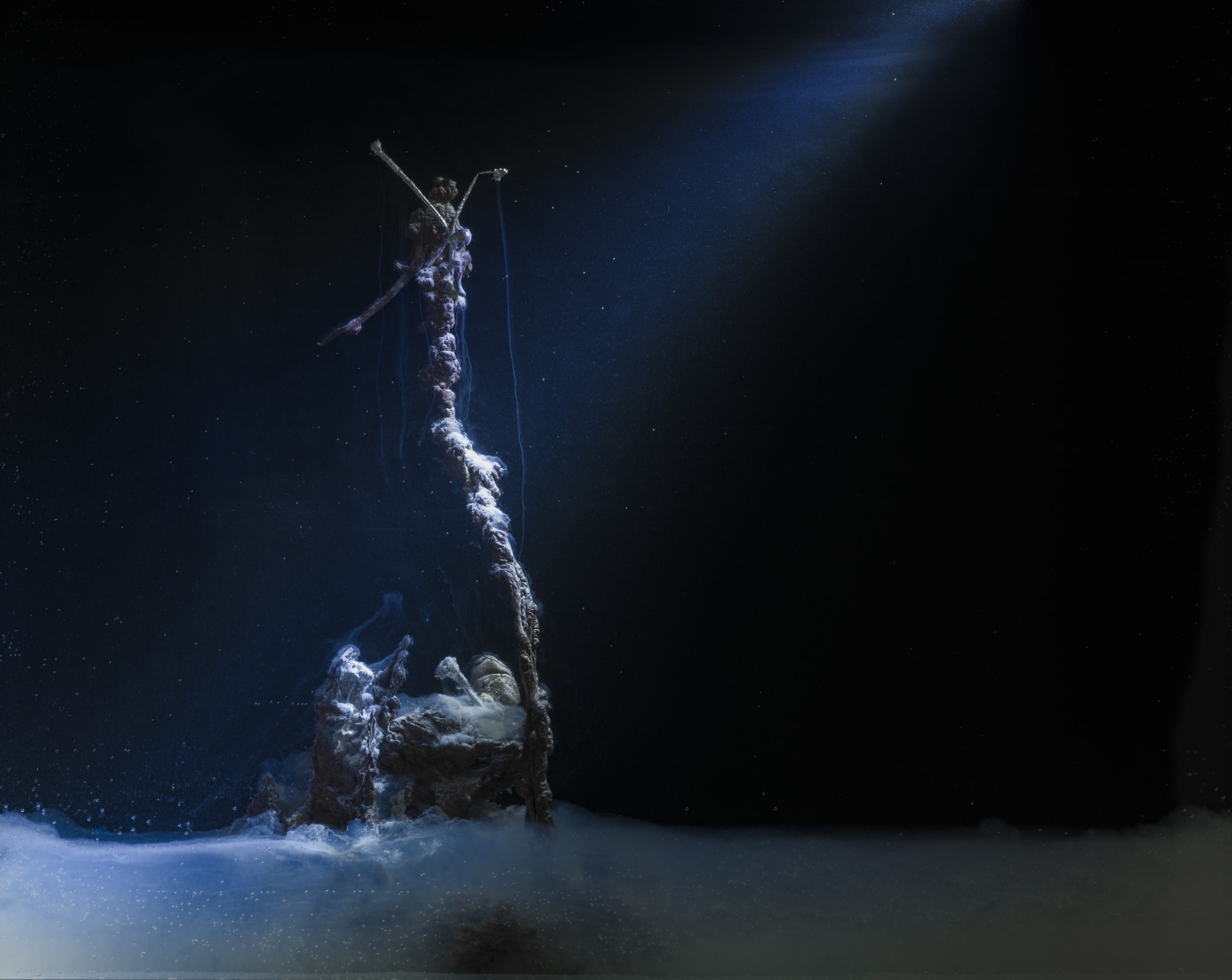 Hicham Berrada | Enclosed Natures