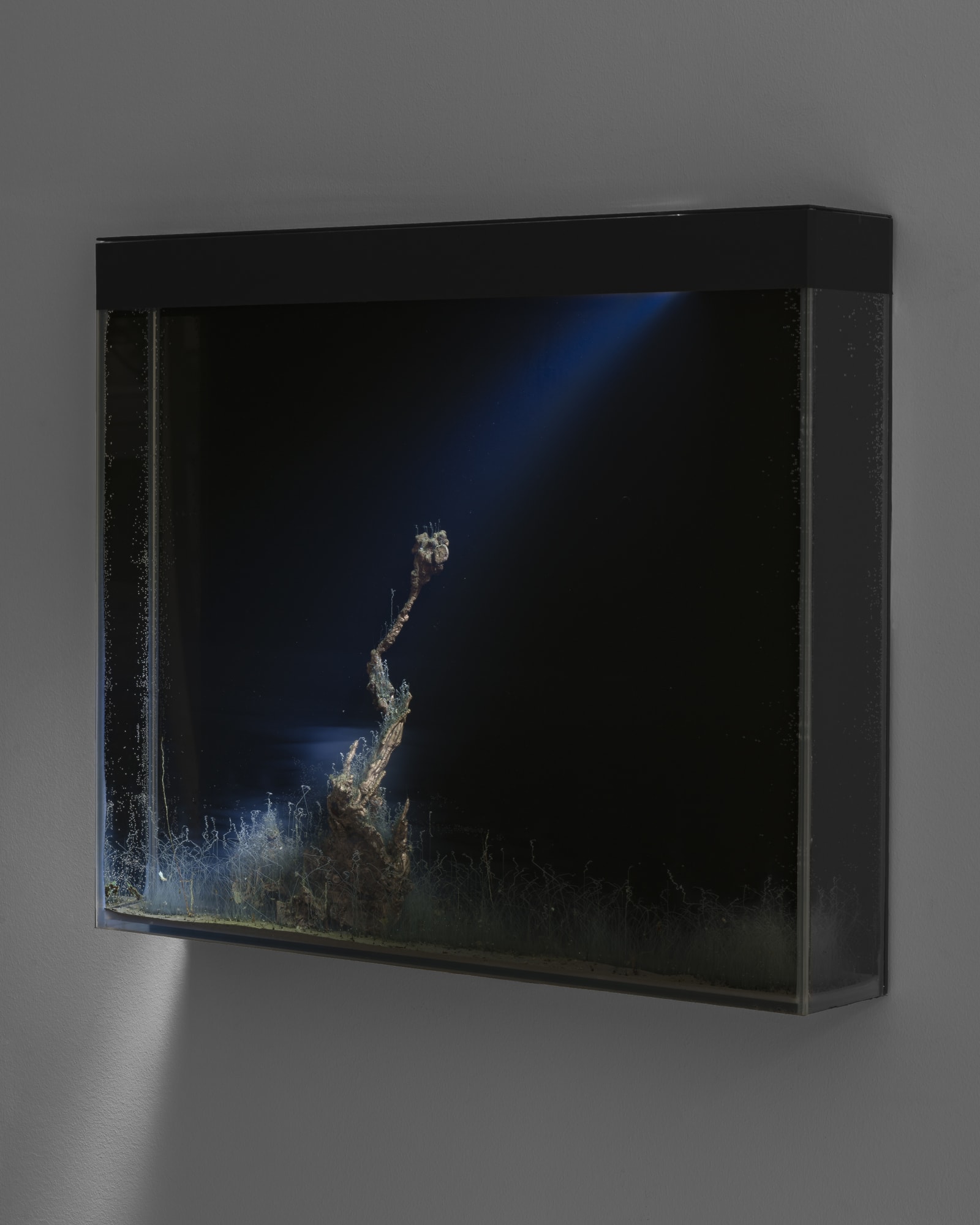 Hicham Berrada | Enclosed Natures