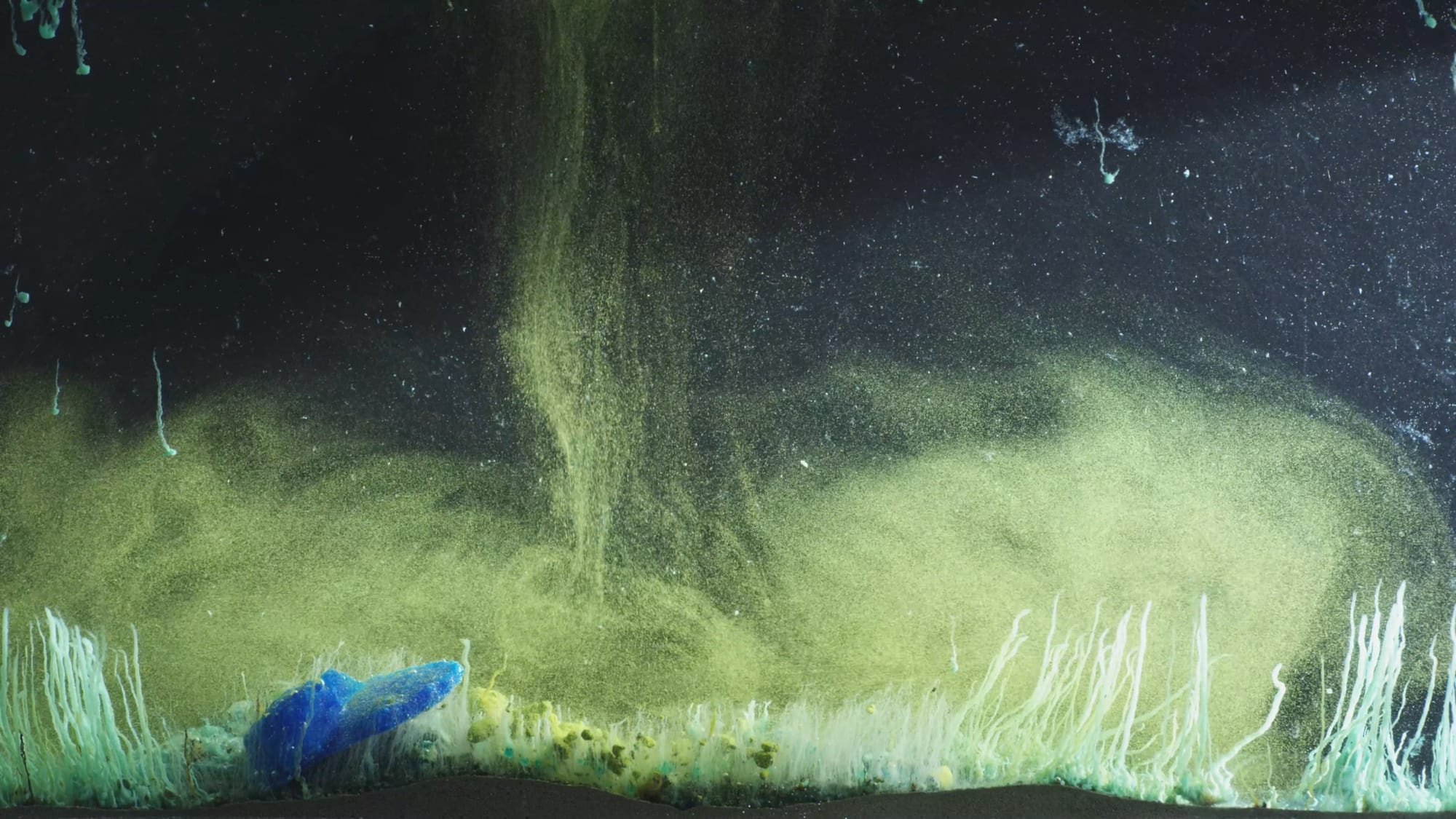 Hicham Berrada | Enclosed Natures