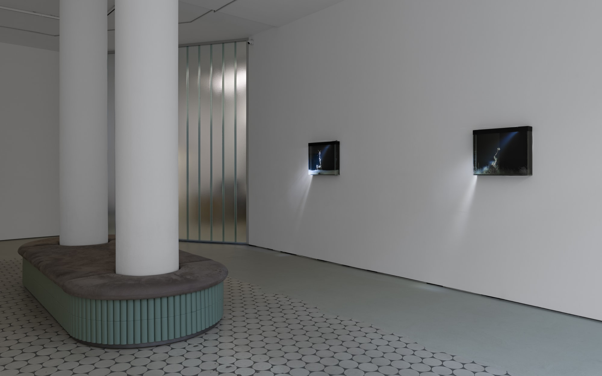 Hicham Berrada | Enclosed Natures