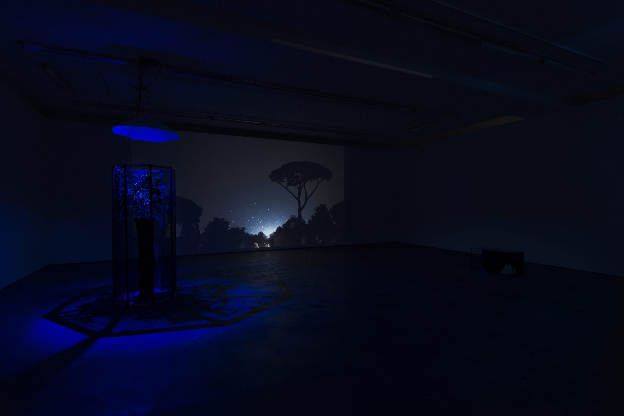 Hicham Berrada | Caverne