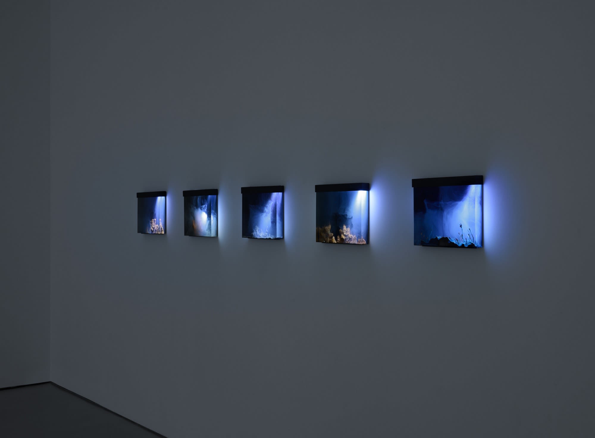 Hicham Berrada | Remains