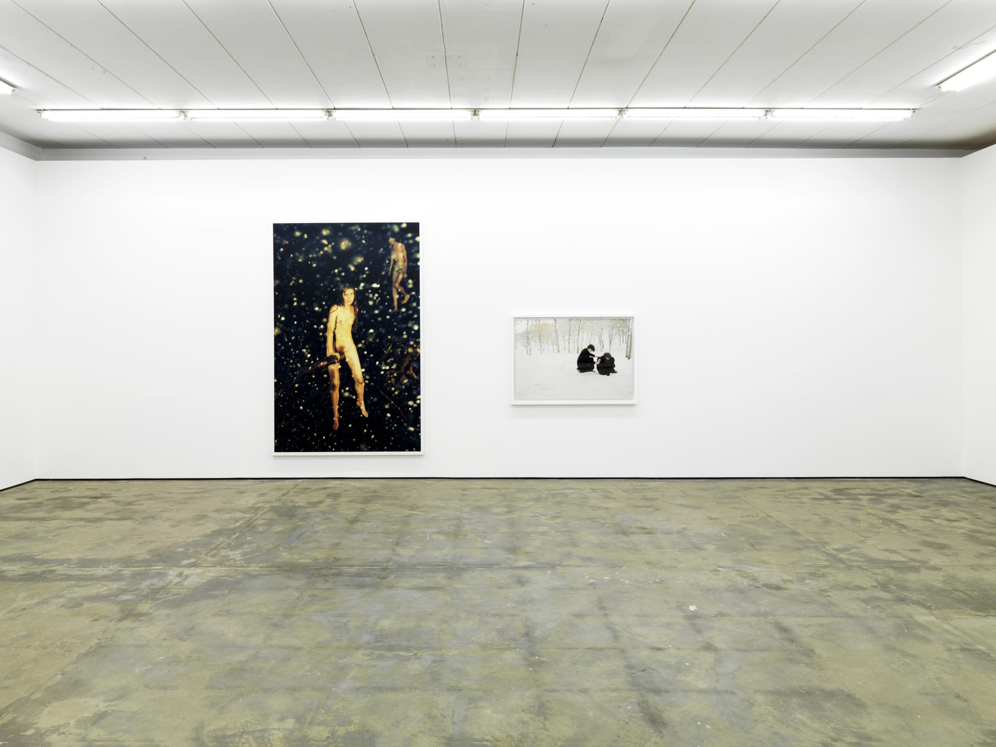 Snapshots of a Generation