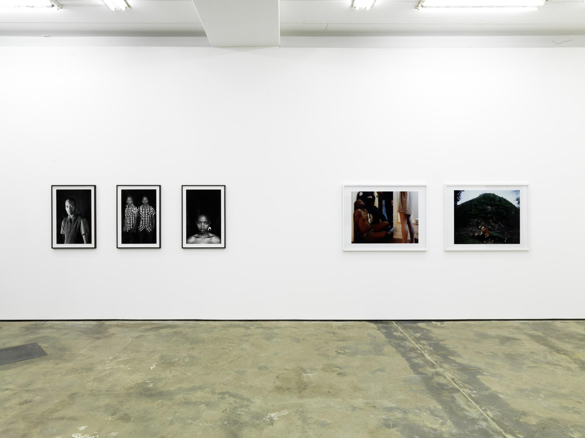 Snapshots of a Generation