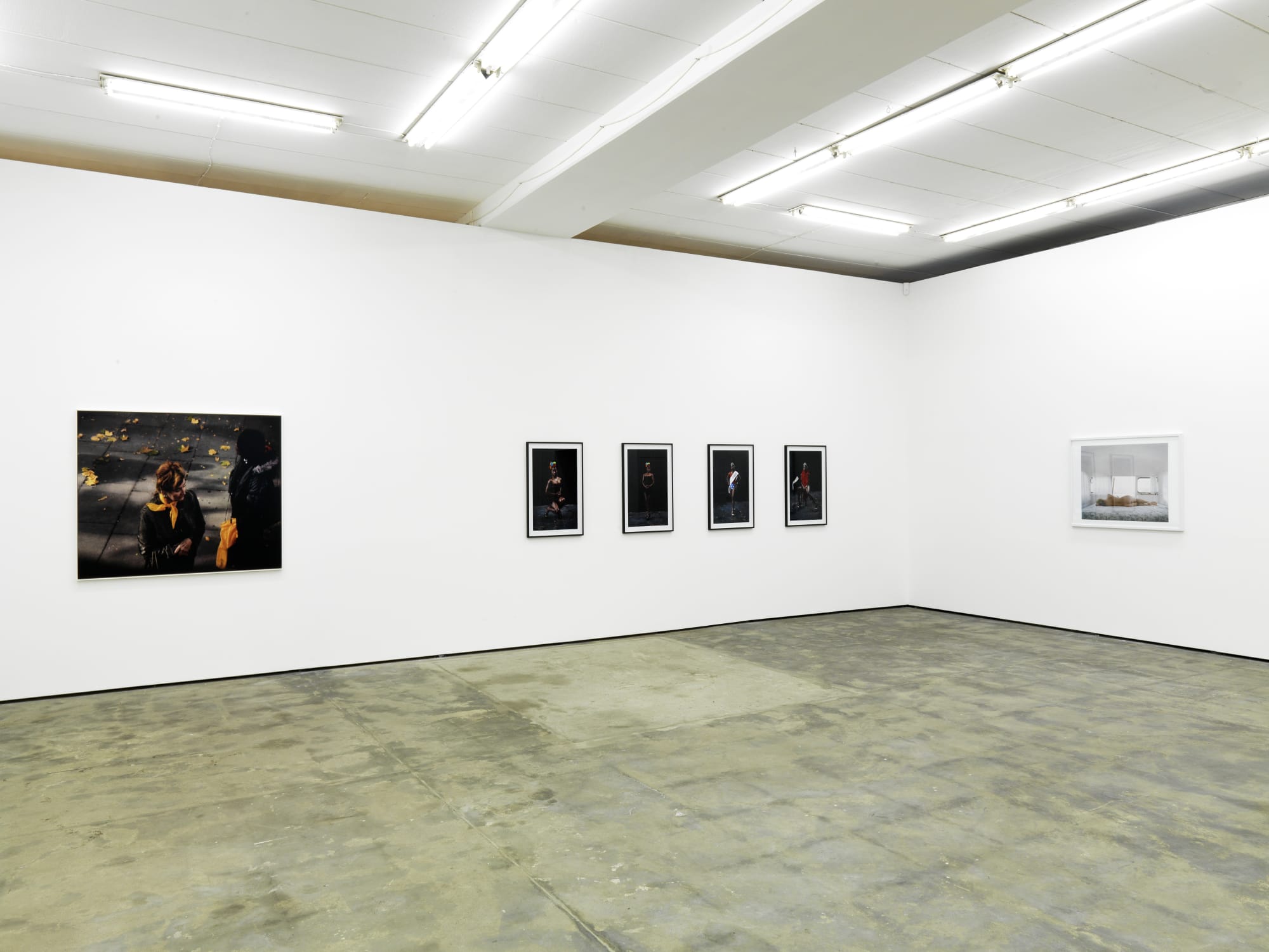 Snapshots of a Generation