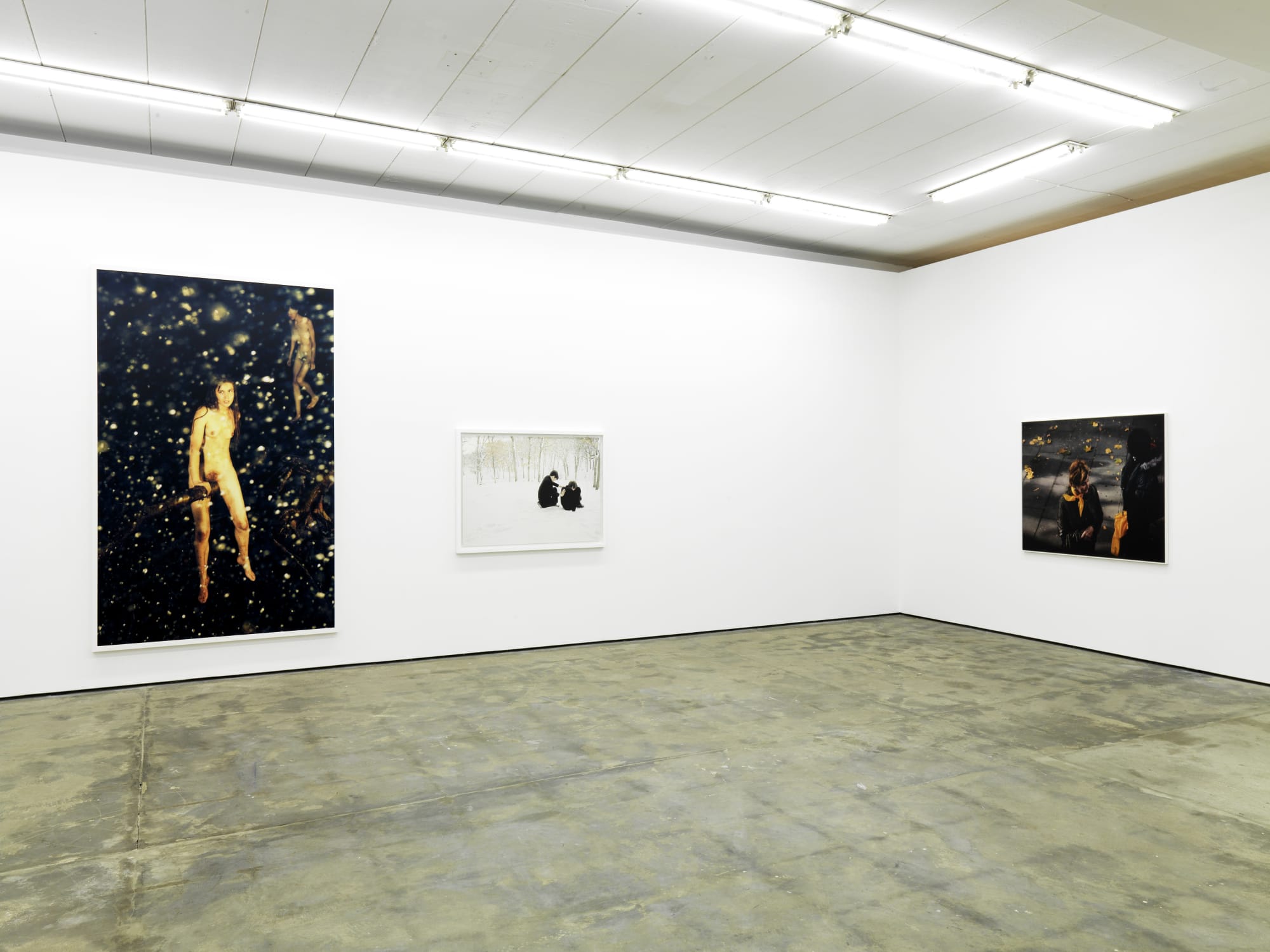 Snapshots of a Generation