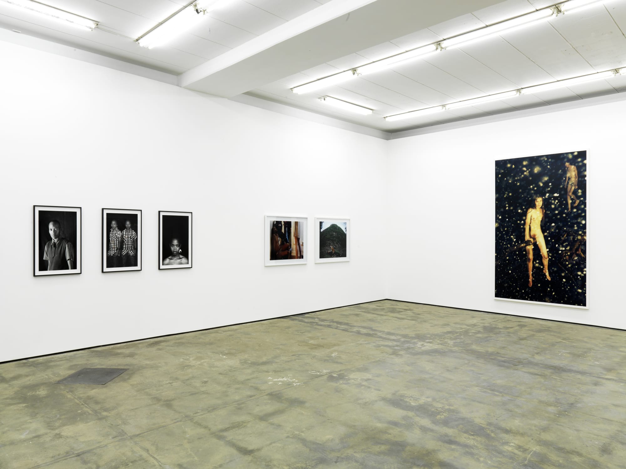 Snapshots of a Generation