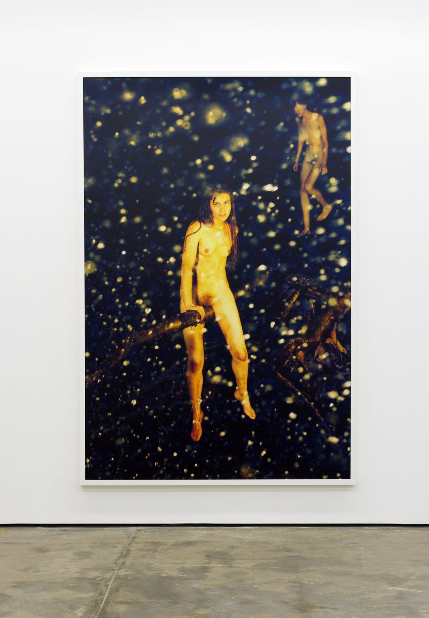 Snapshots of a Generation