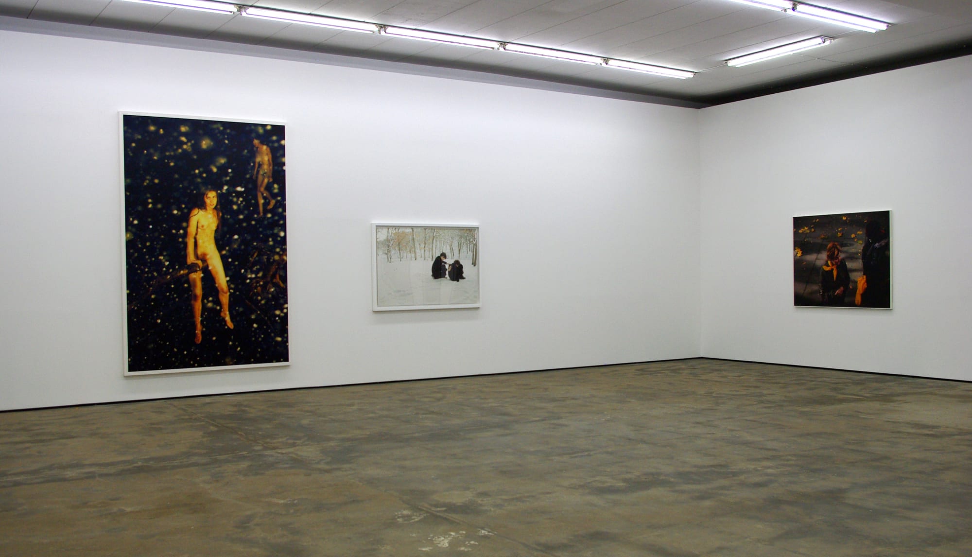 Snapshots of a Generation