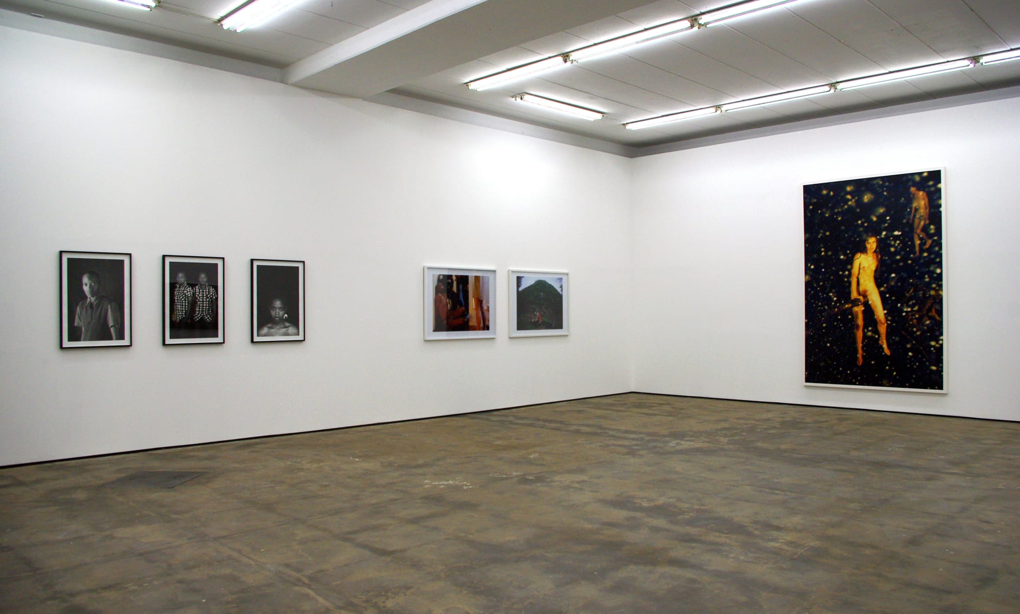 Snapshots of a Generation