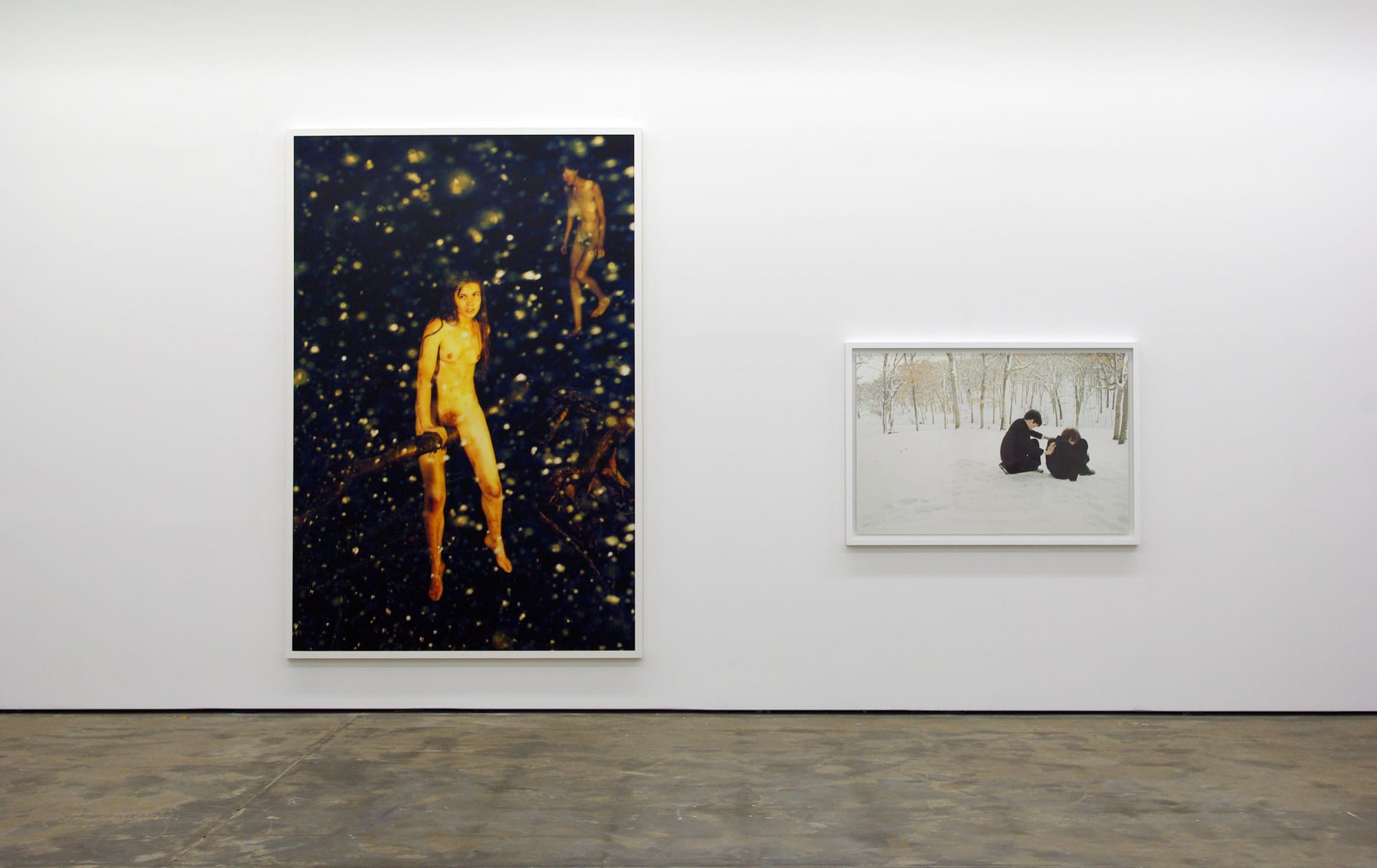 Snapshots of a Generation