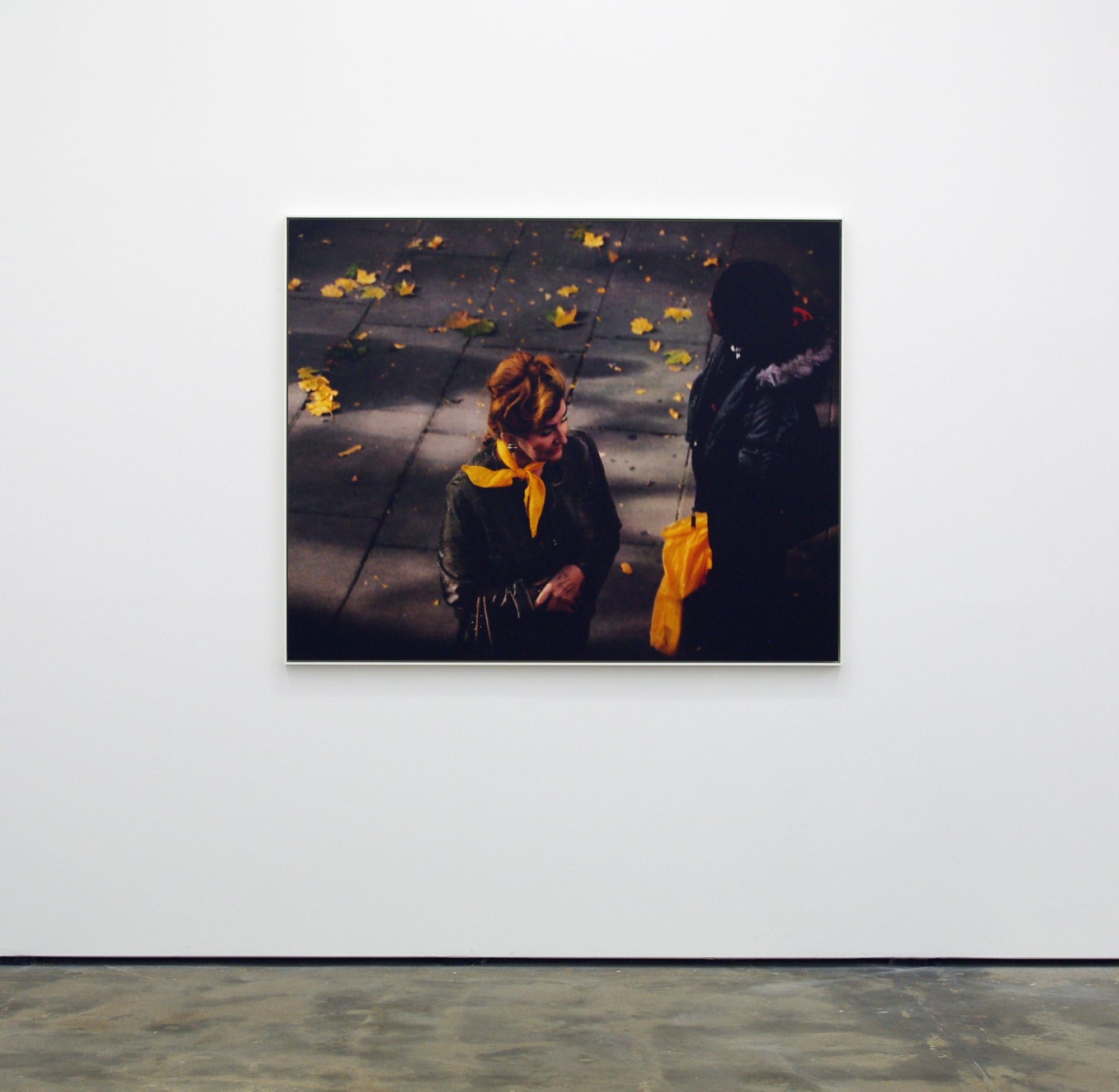 Snapshots of a Generation