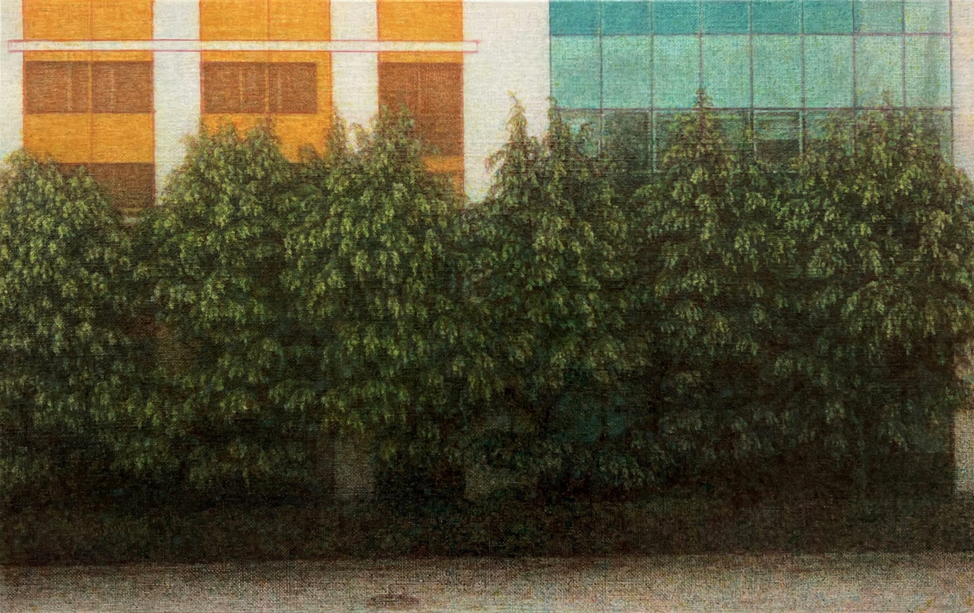 이만나 벽 앞 2023 Oil on canvas 33.5x53cm