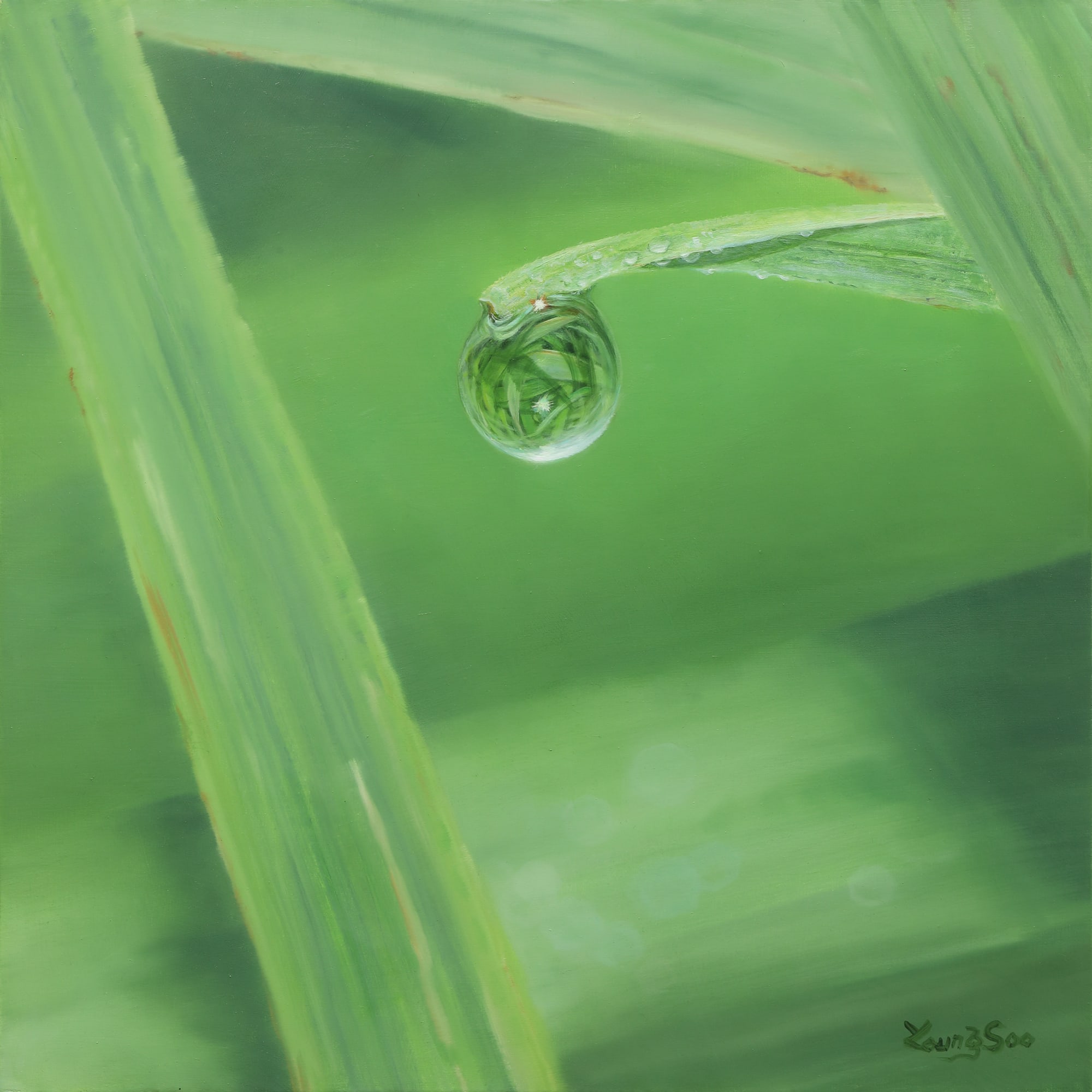 Natural Image 2024 53 x 53 cm Oil on canvas