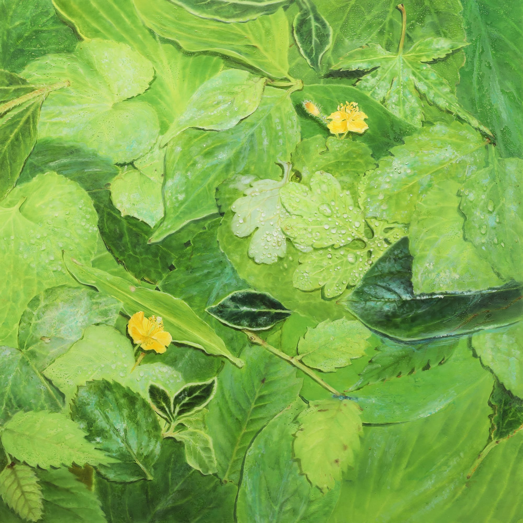 Natural Image 2024 72.7 x 72.7 cm Oil on canvas