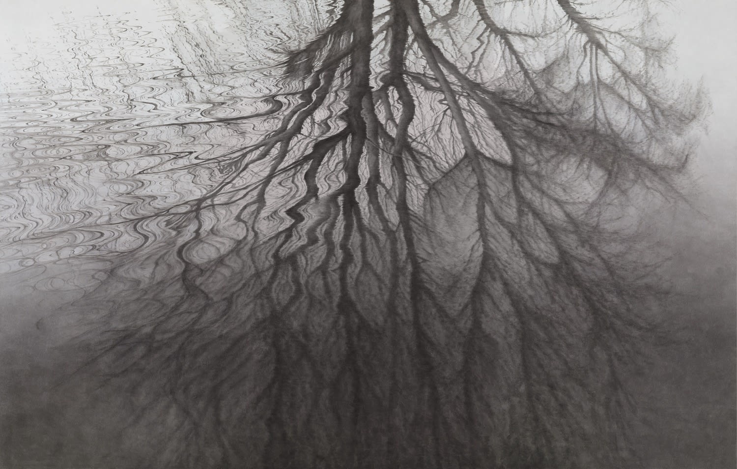 이채영 Lee Chae Young 숨 2023 190x300cm (190x100x3ea) 한지에 먹