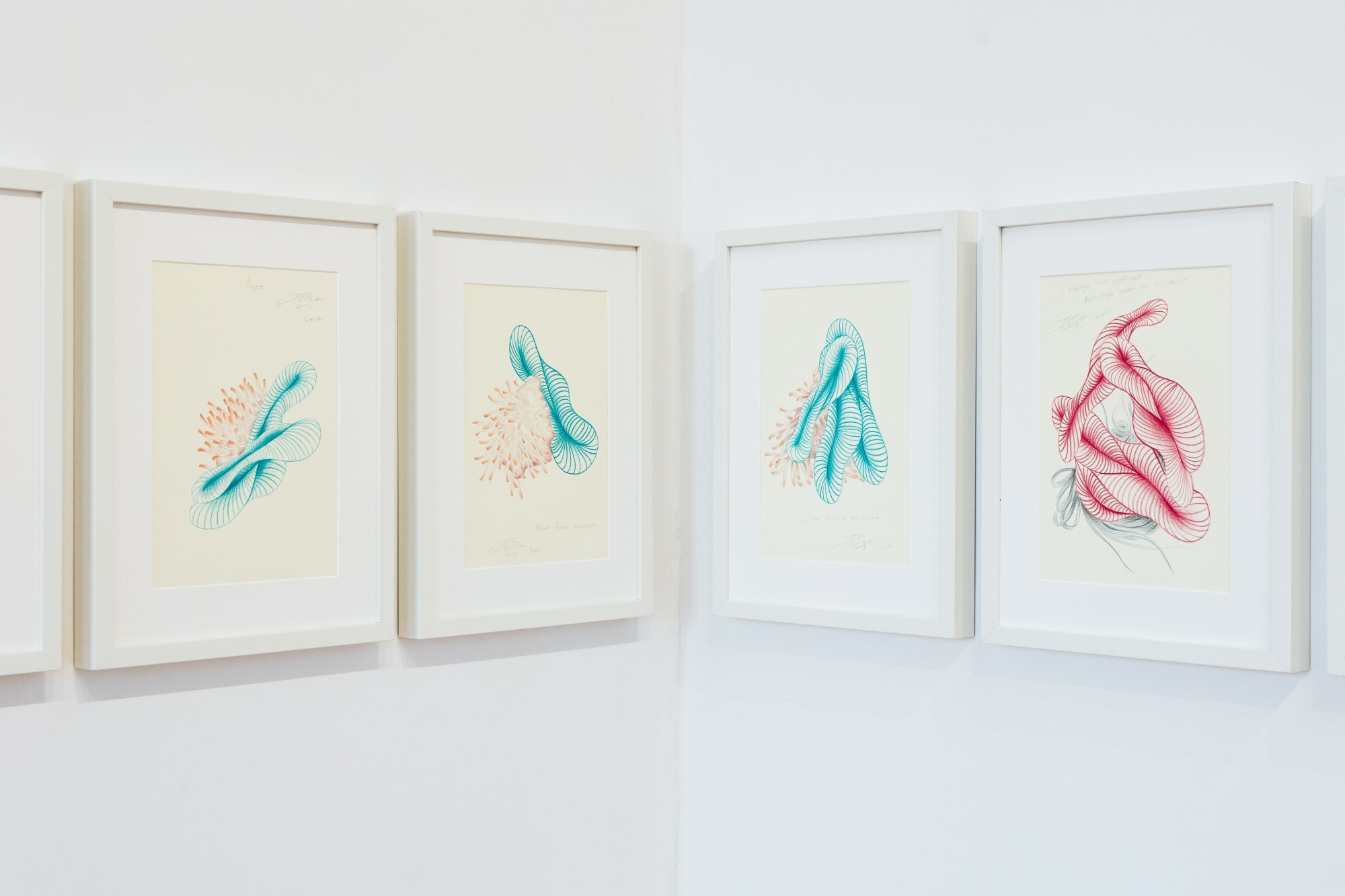 Project. Dear. Diary