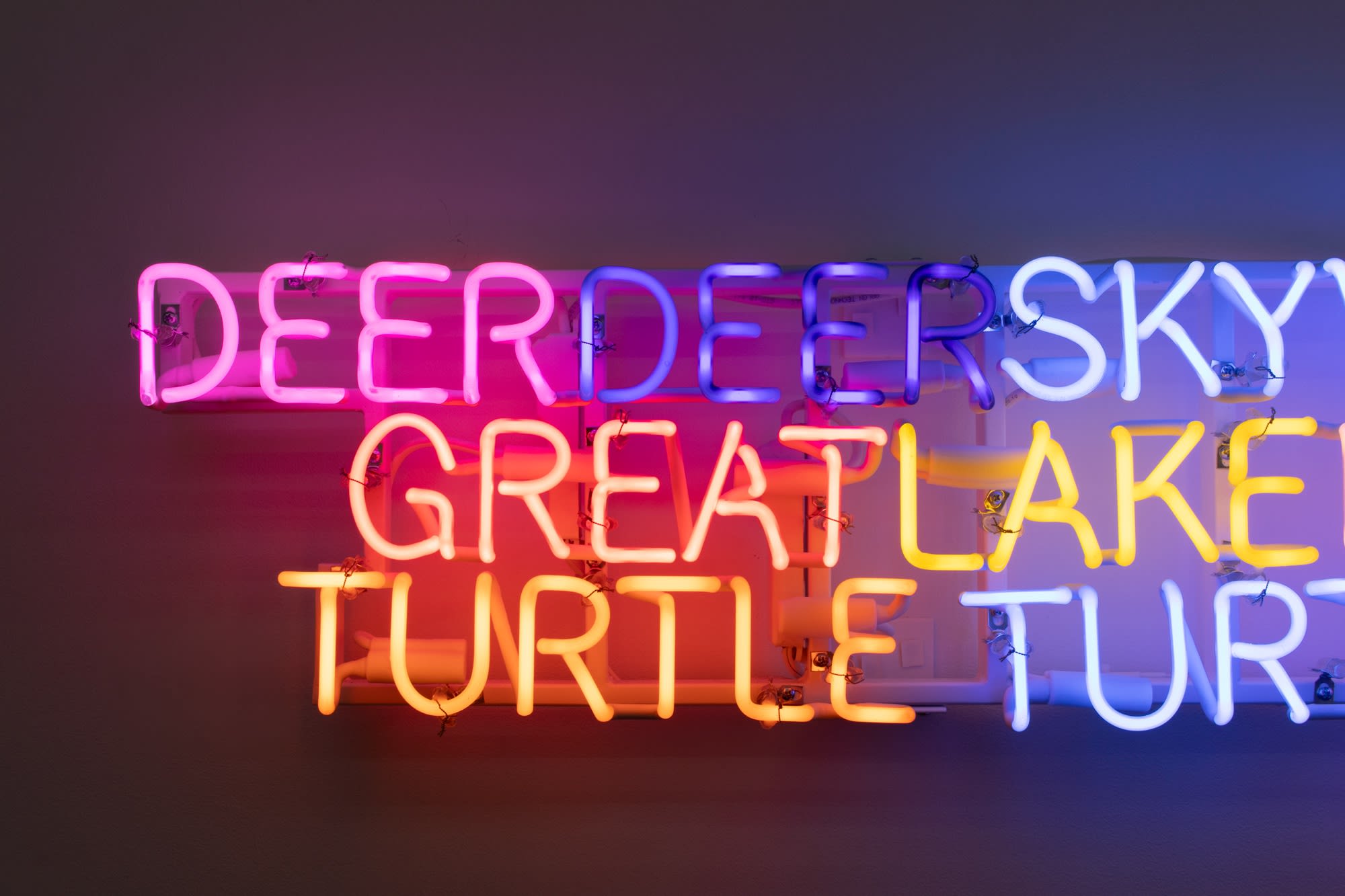 In Search of Liberty