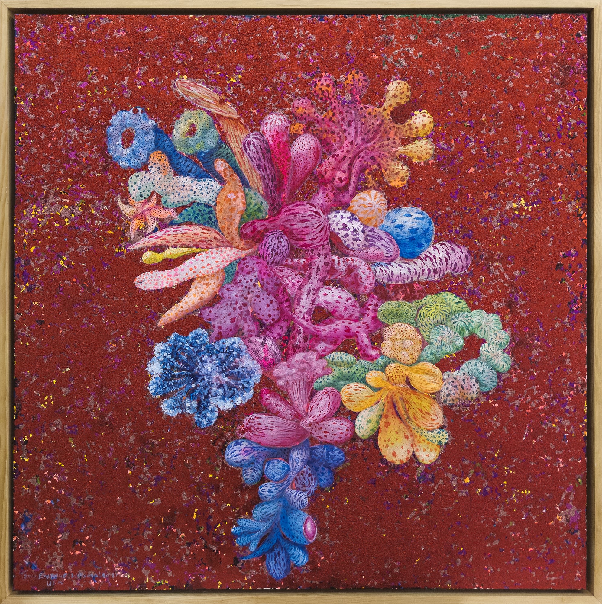 Between Reason and Imagination