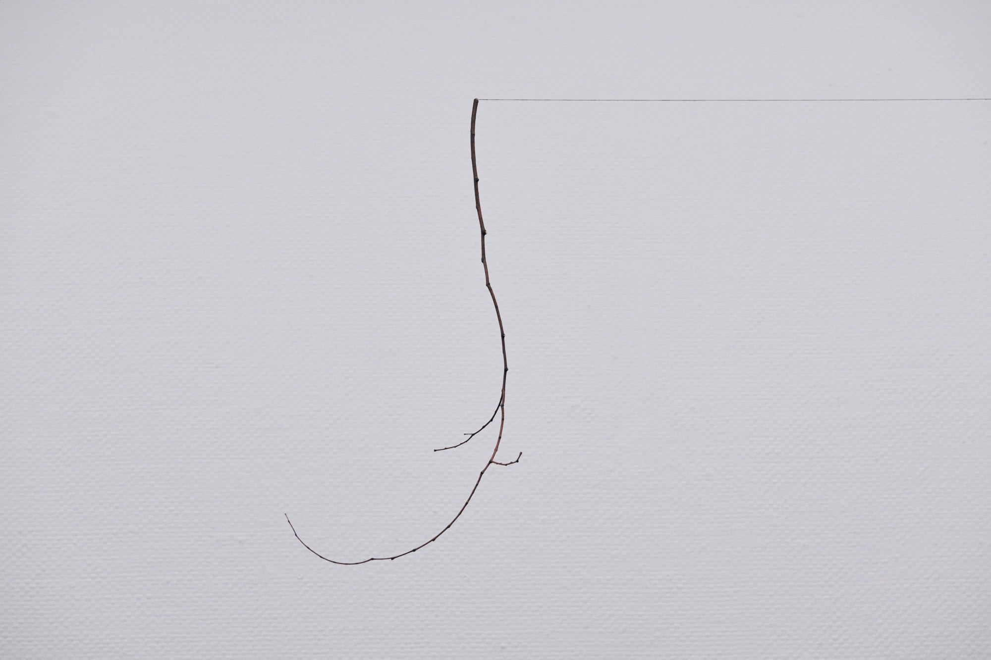 Every Day Is a Good Day