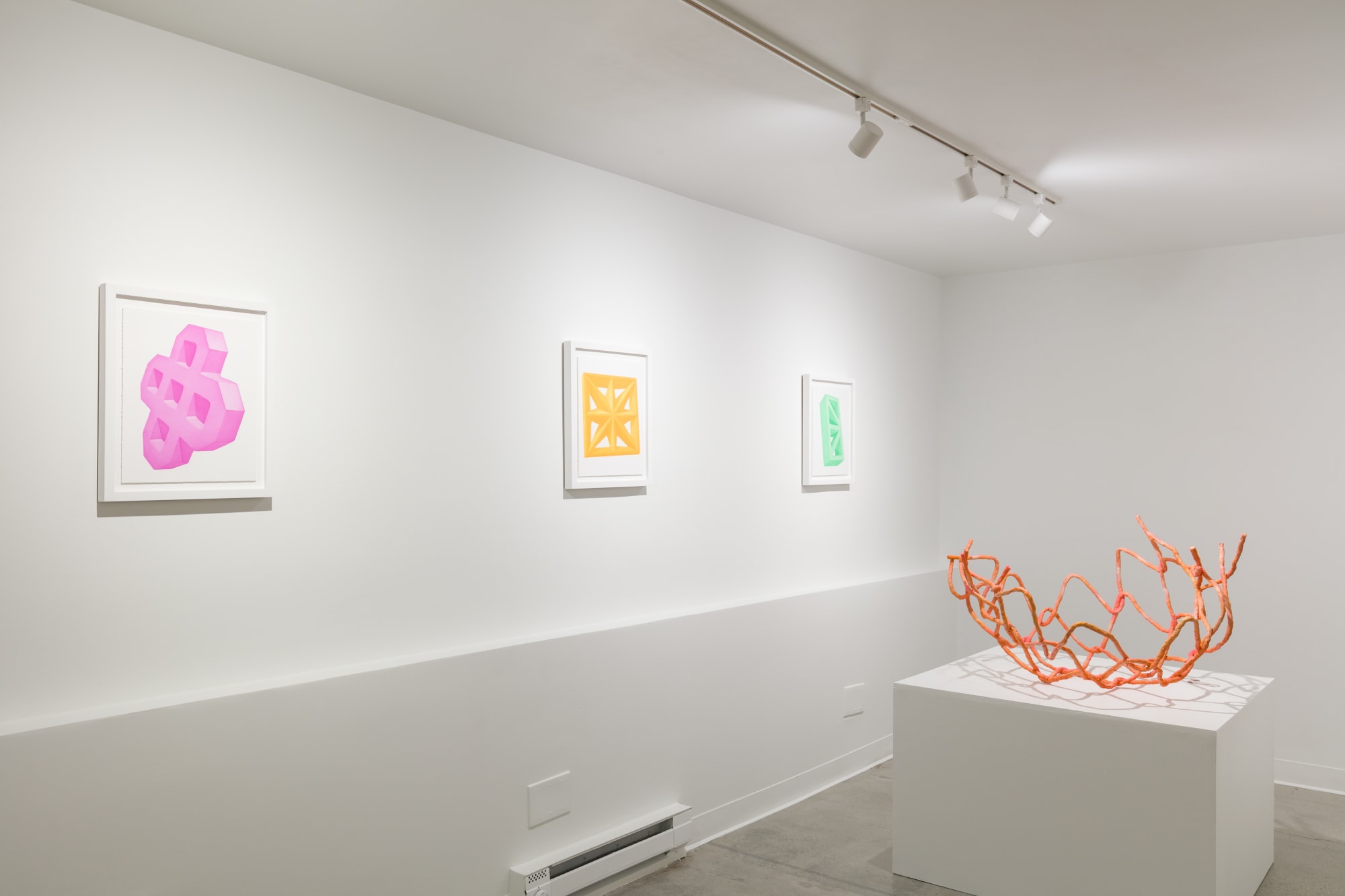 Courtney Sennish: Curbside