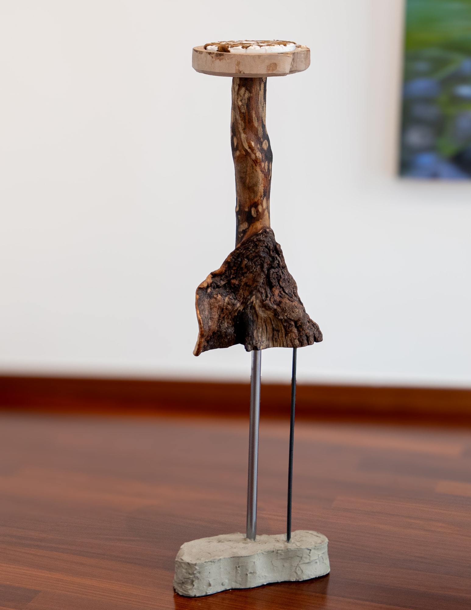 Sandro Pianetti, Meta colonna II (amadou), 2025 Beech wood, steel, oncrete, plaster, tinder fungus, 108 x 33 x 22 cm