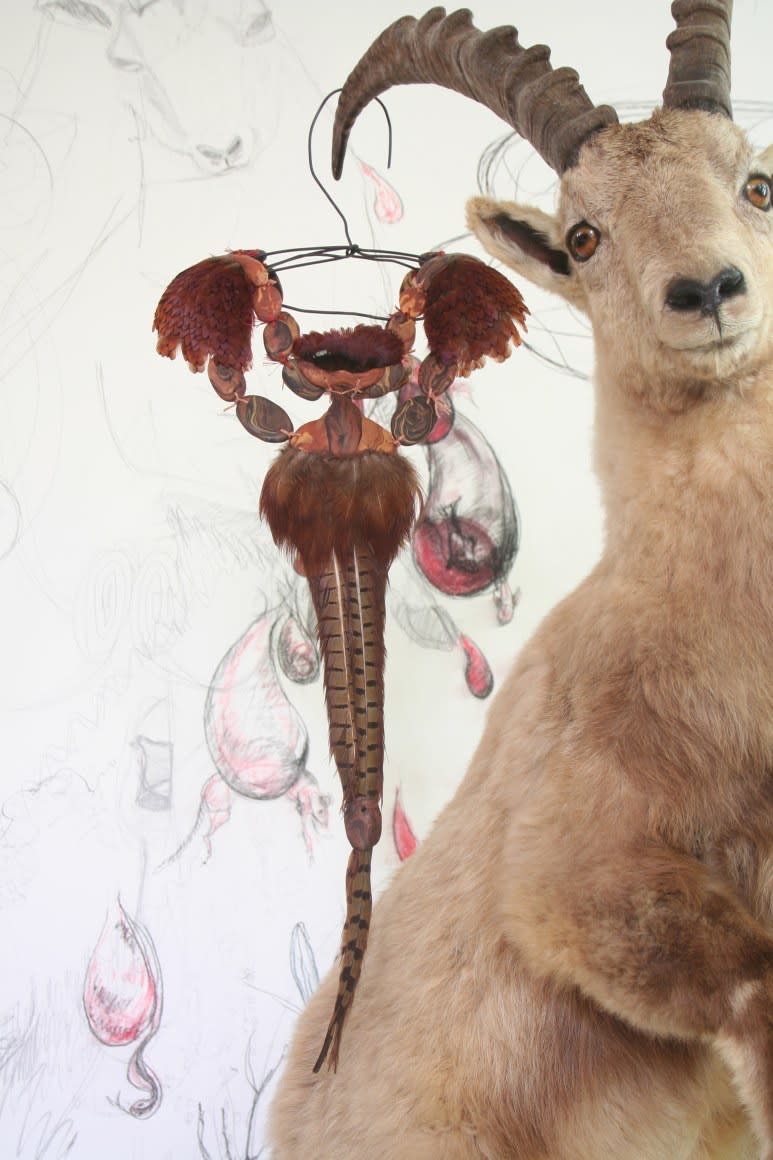 Pheasant Long Tail, 2018, necklace