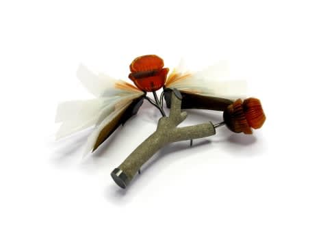 Terhi Tolvanen, Anatomy of a Rose