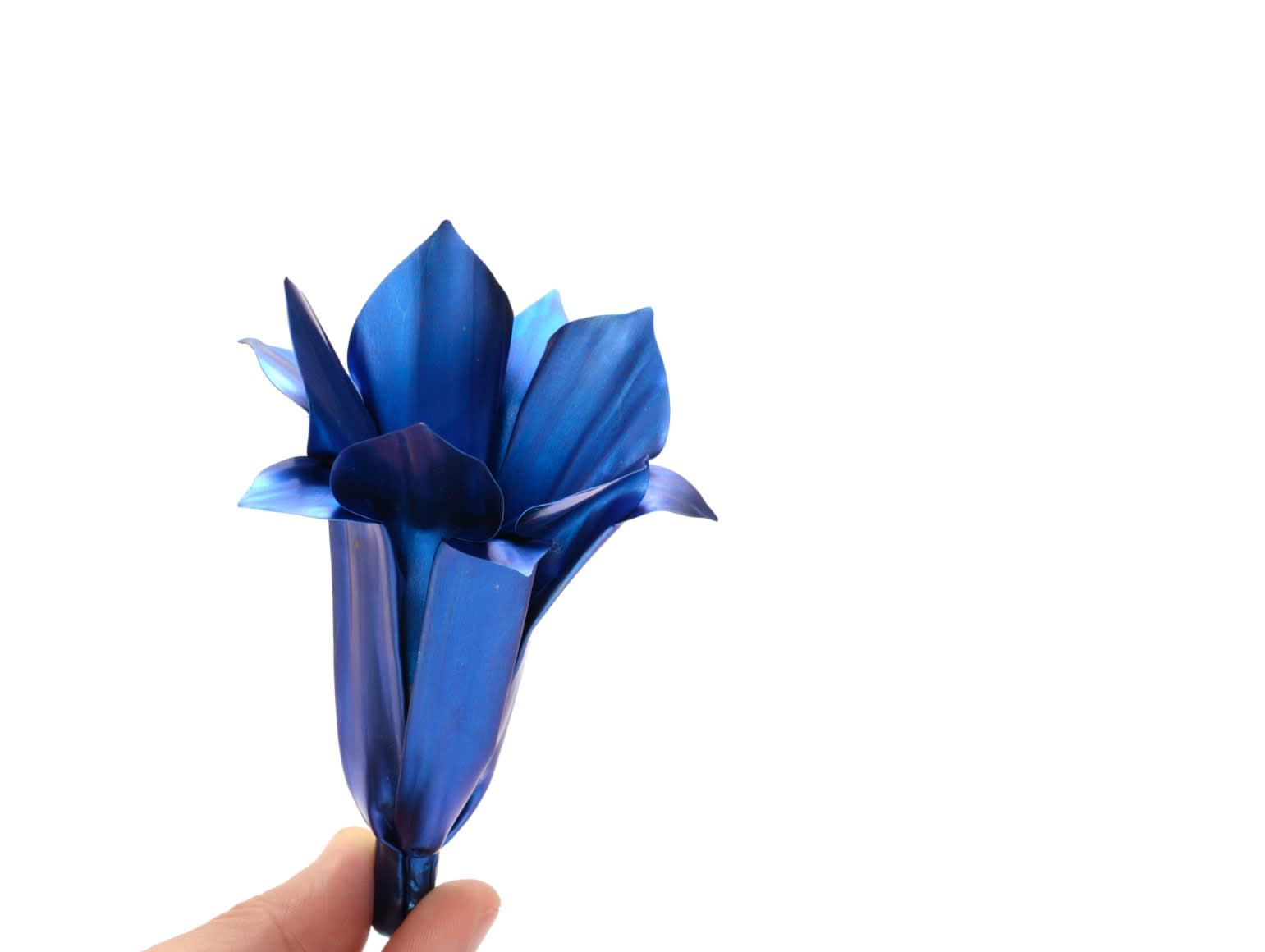 ENZIAN, brooch, 2012