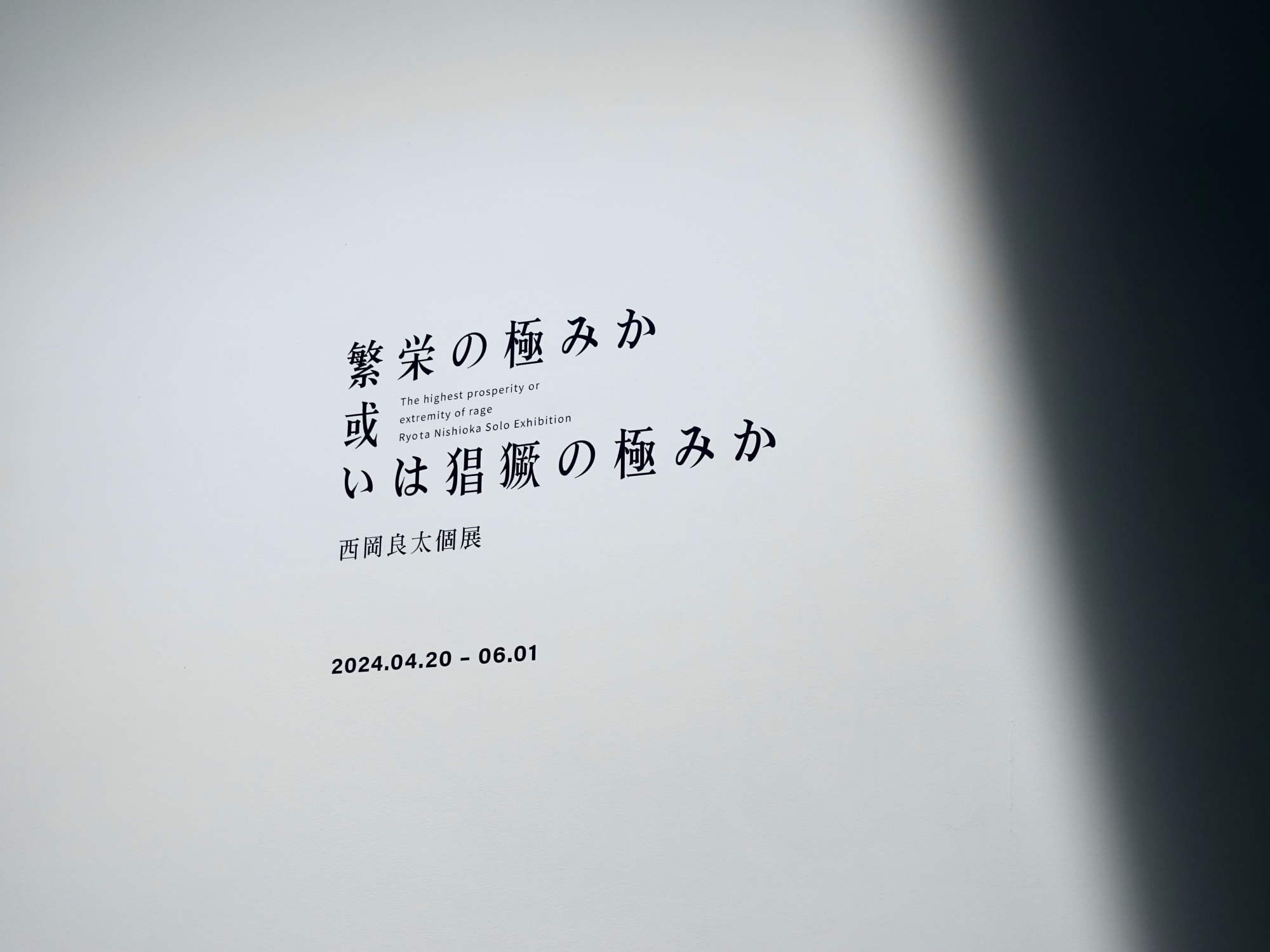 繁栄の極みか或いは猖獗の極みか—西岡良太個展