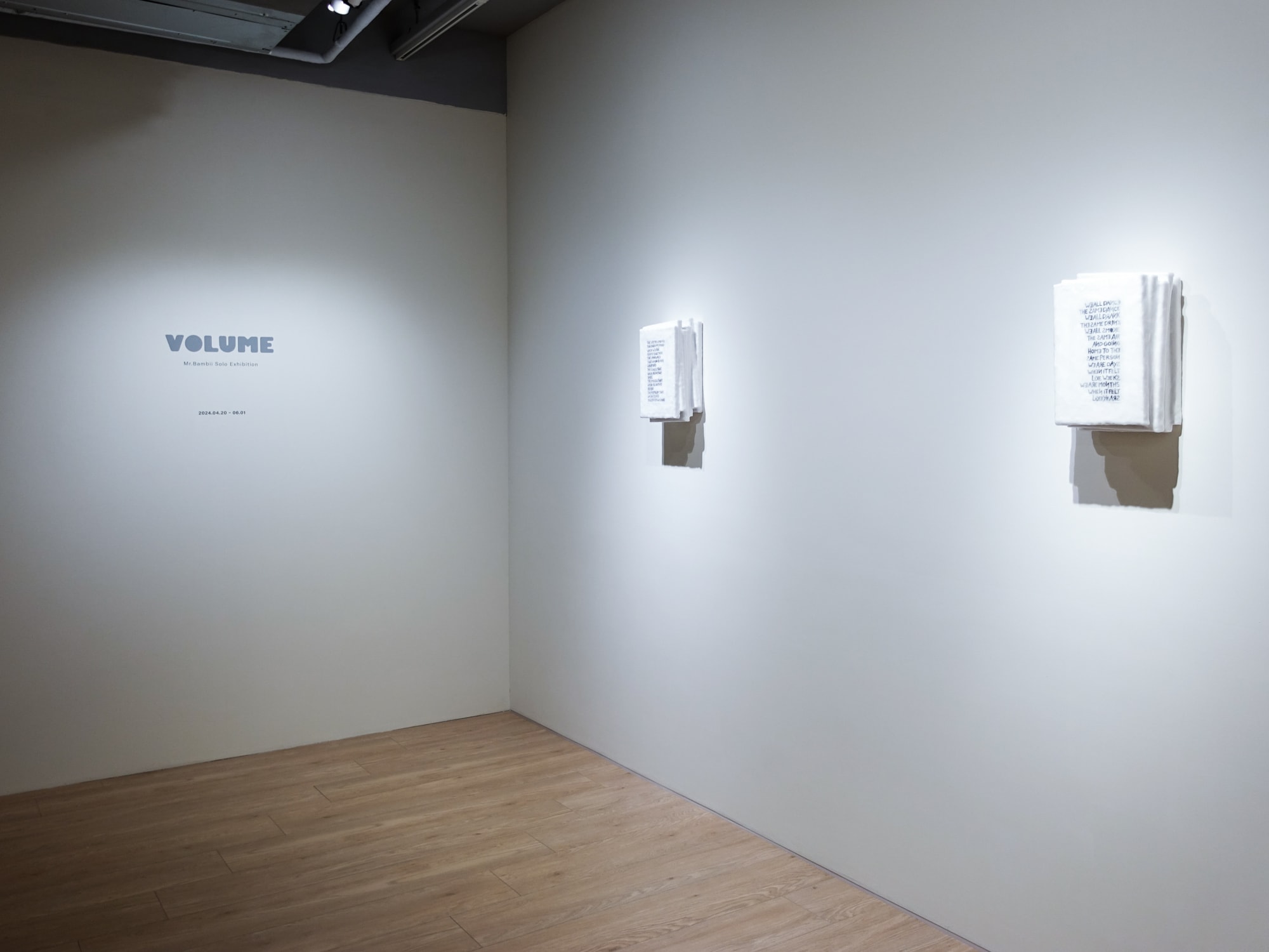 VOLUME: Mr.Bambii Solo Exhibition