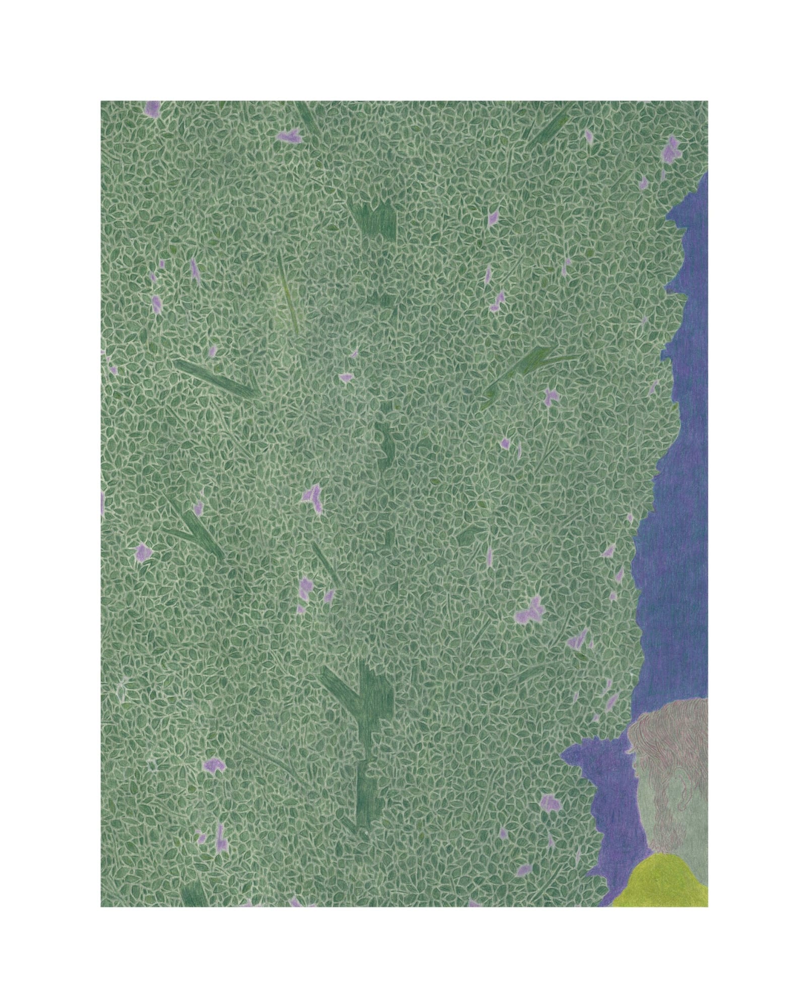 Timothy Bair｜Look Back｜2023-25｜Color Pencil on Paper Board 色鉛筆於紙板｜51 x 38.4 cm