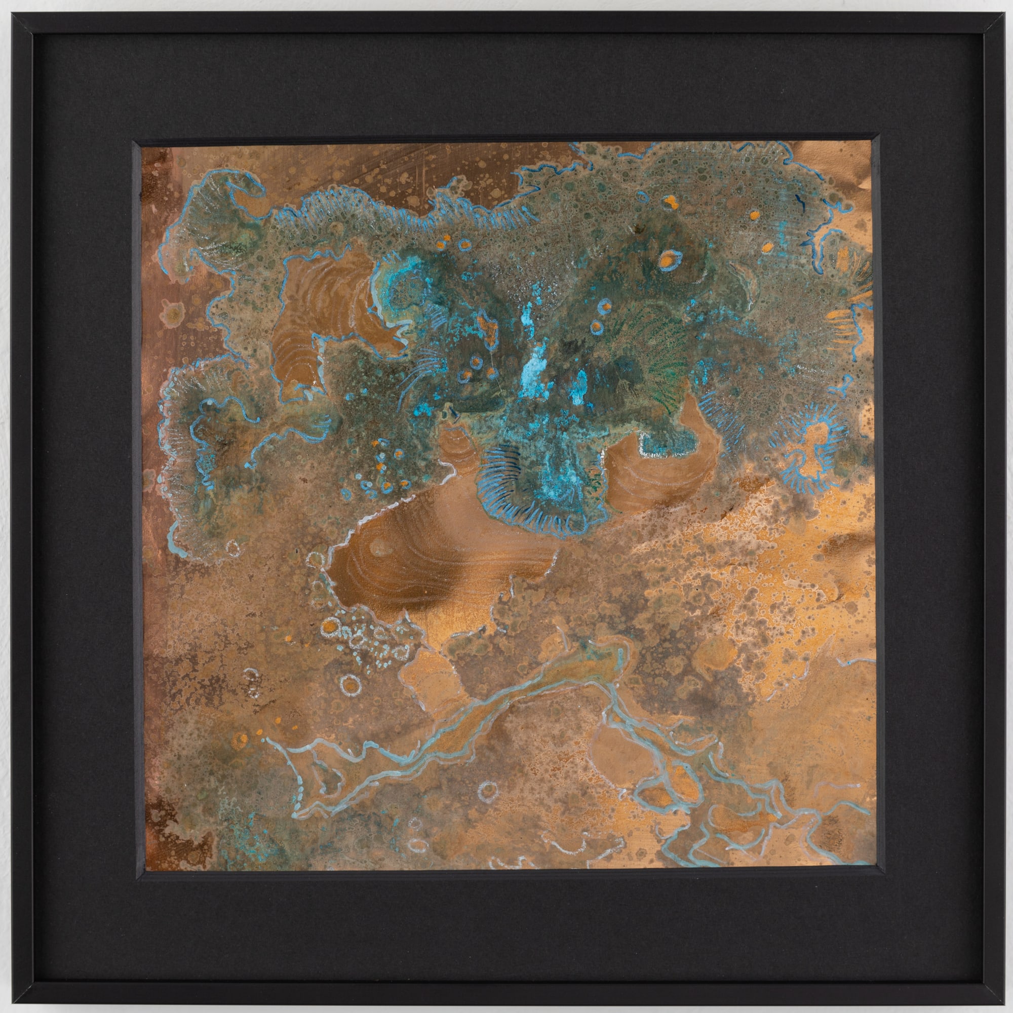 Rohini Devasher | Sol Drawings