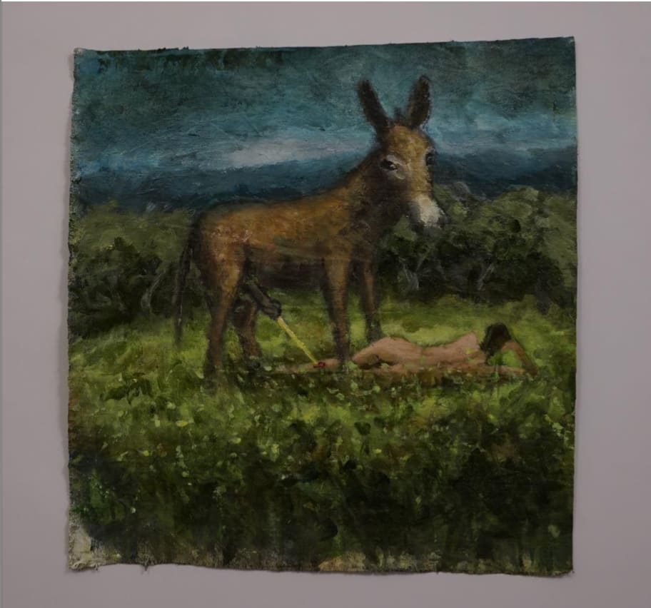 Omar Fakhoury, Donkey pee heals wounds faster 1, 2025 Acrylic on linen, 49 x 47 cm