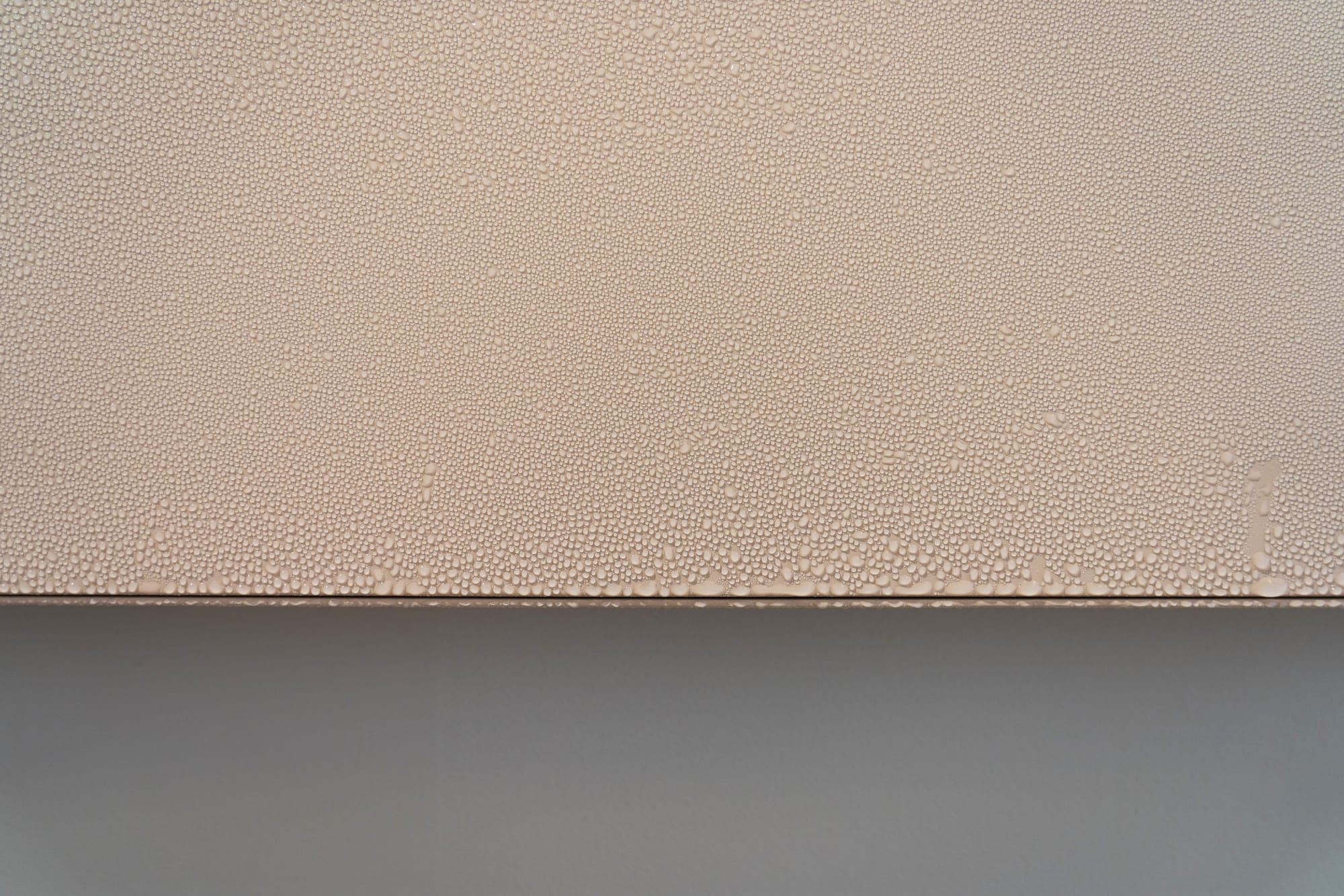 Caline Aoun - Are androids covered with electric dew?