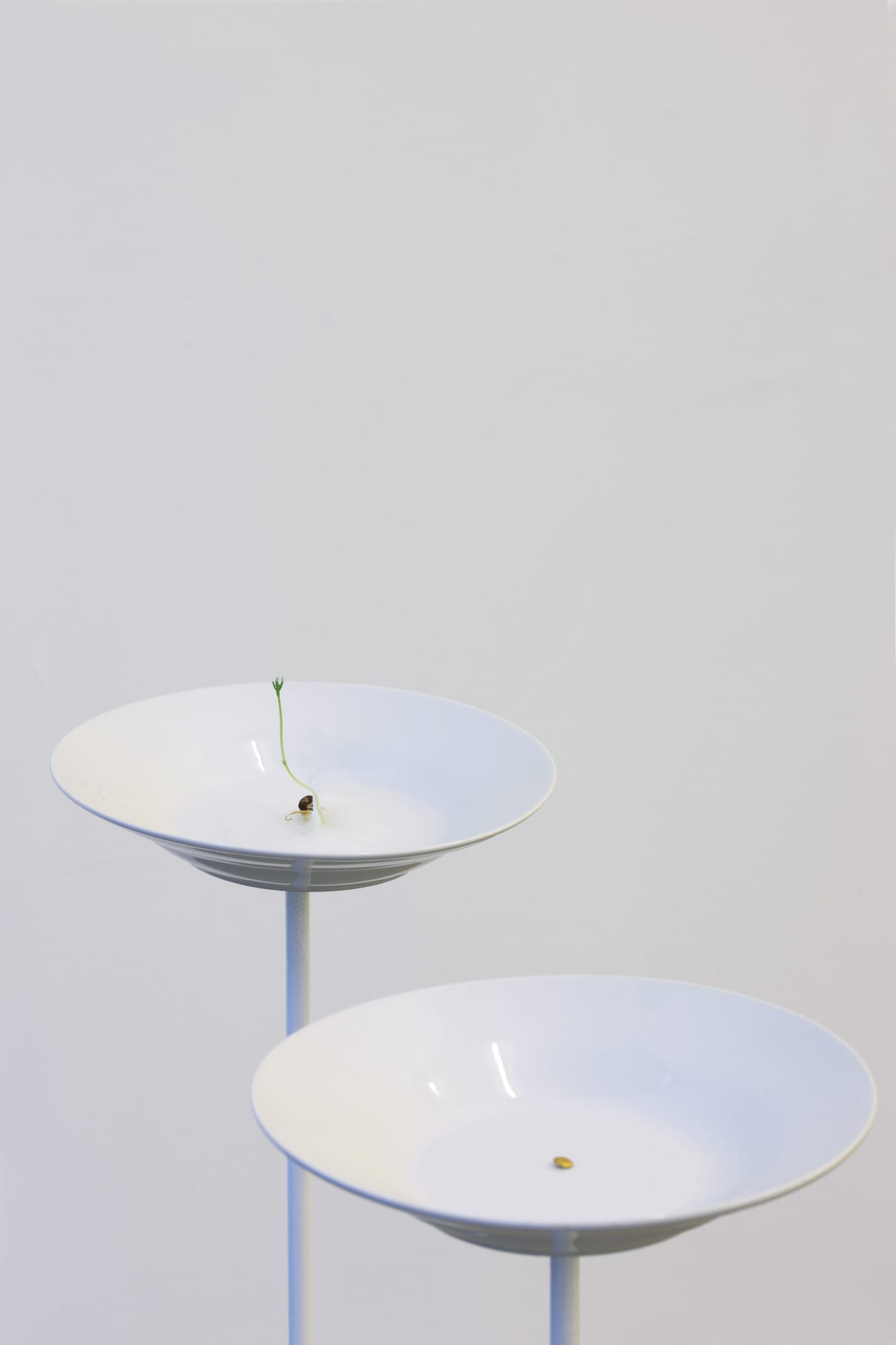 Stéphanie Saadé - The Second Space