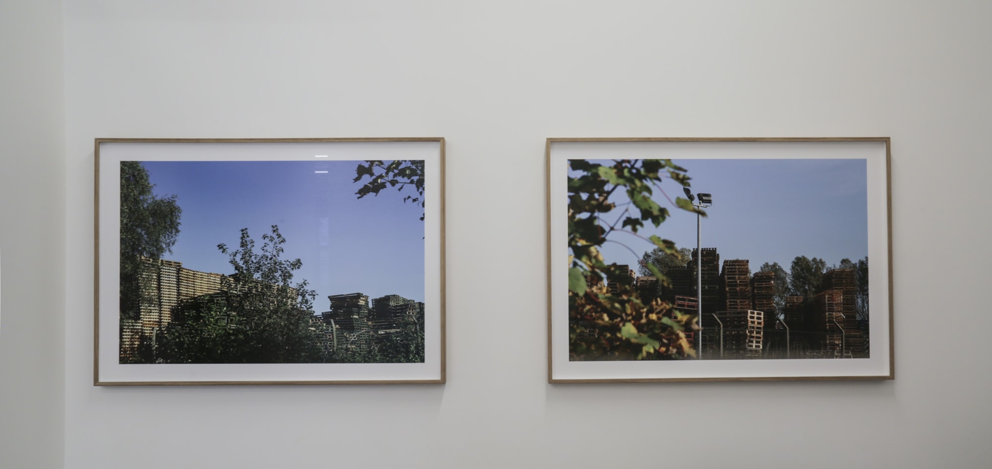 Caline Aoun - Fields of Space