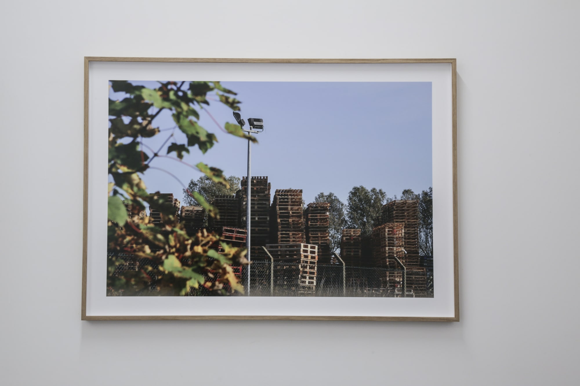 Caline Aoun - Fields of Space