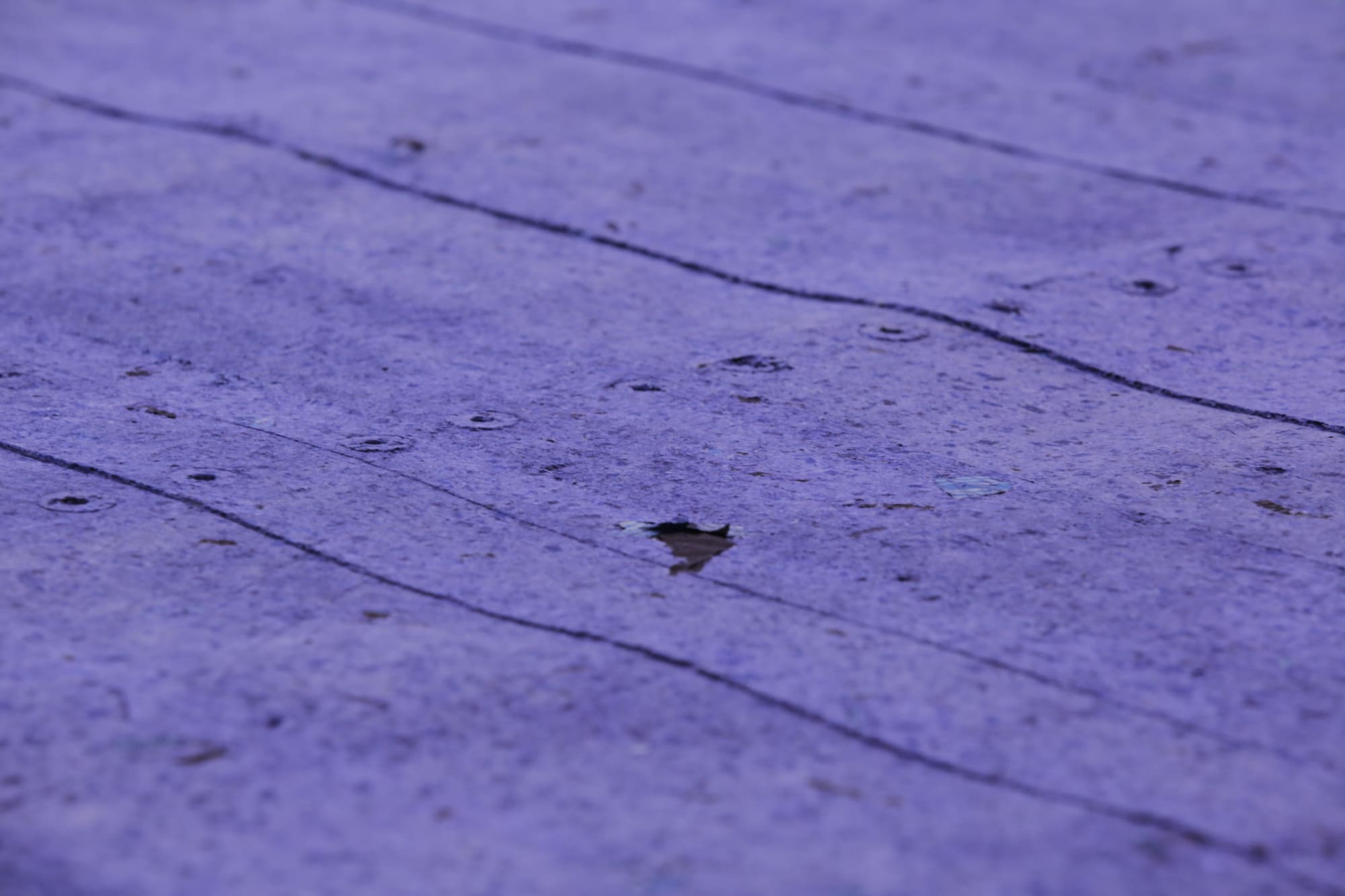 Caline Aoun - Fields of Space